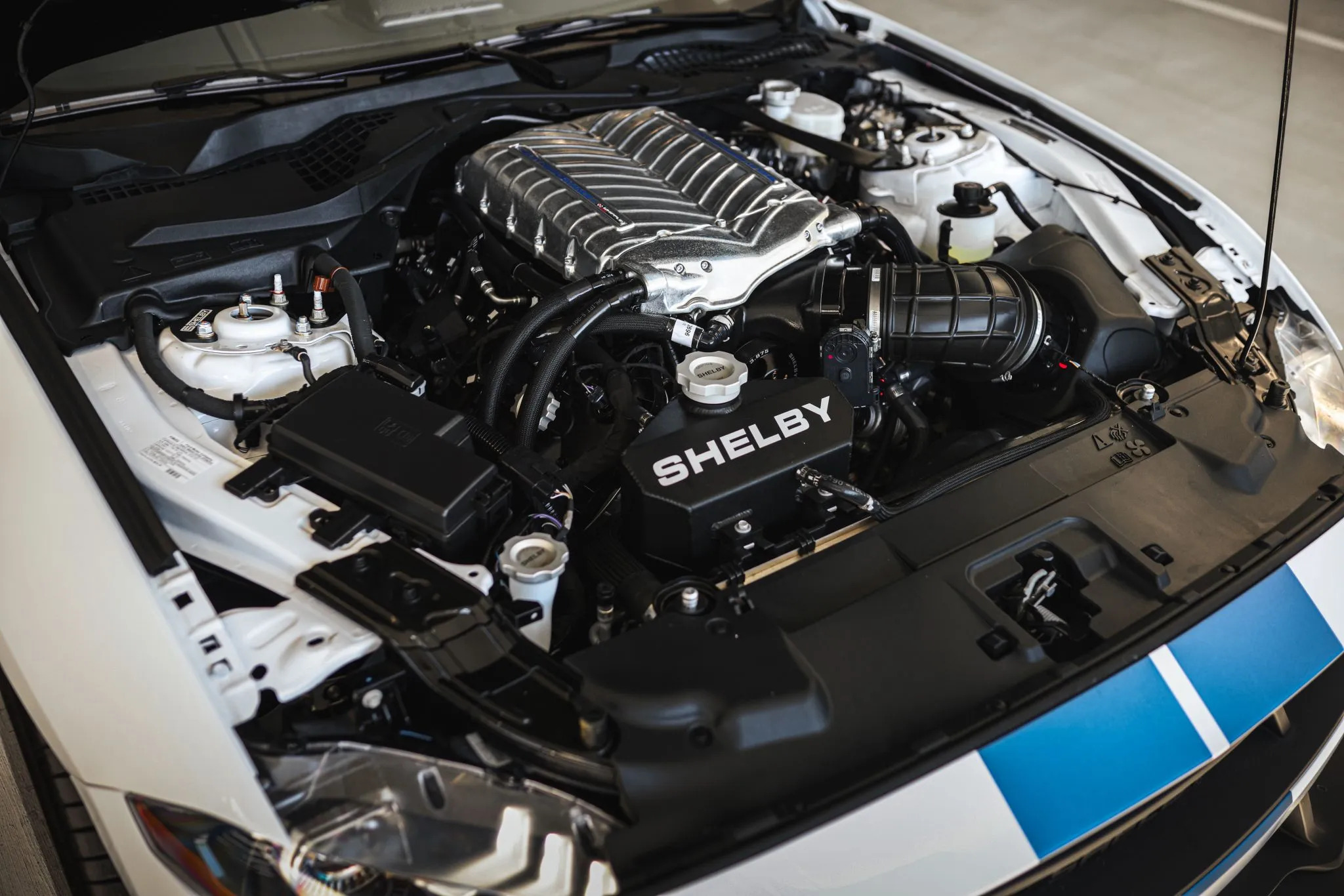 Ford Mustang Shelby Super Snake Speedster 18