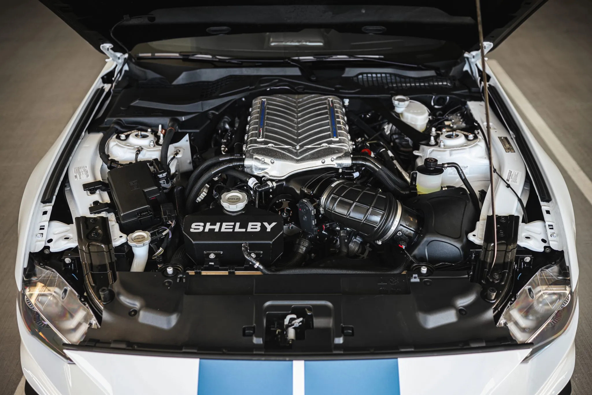 Ford Mustang Shelby Super Snake Speedster 19