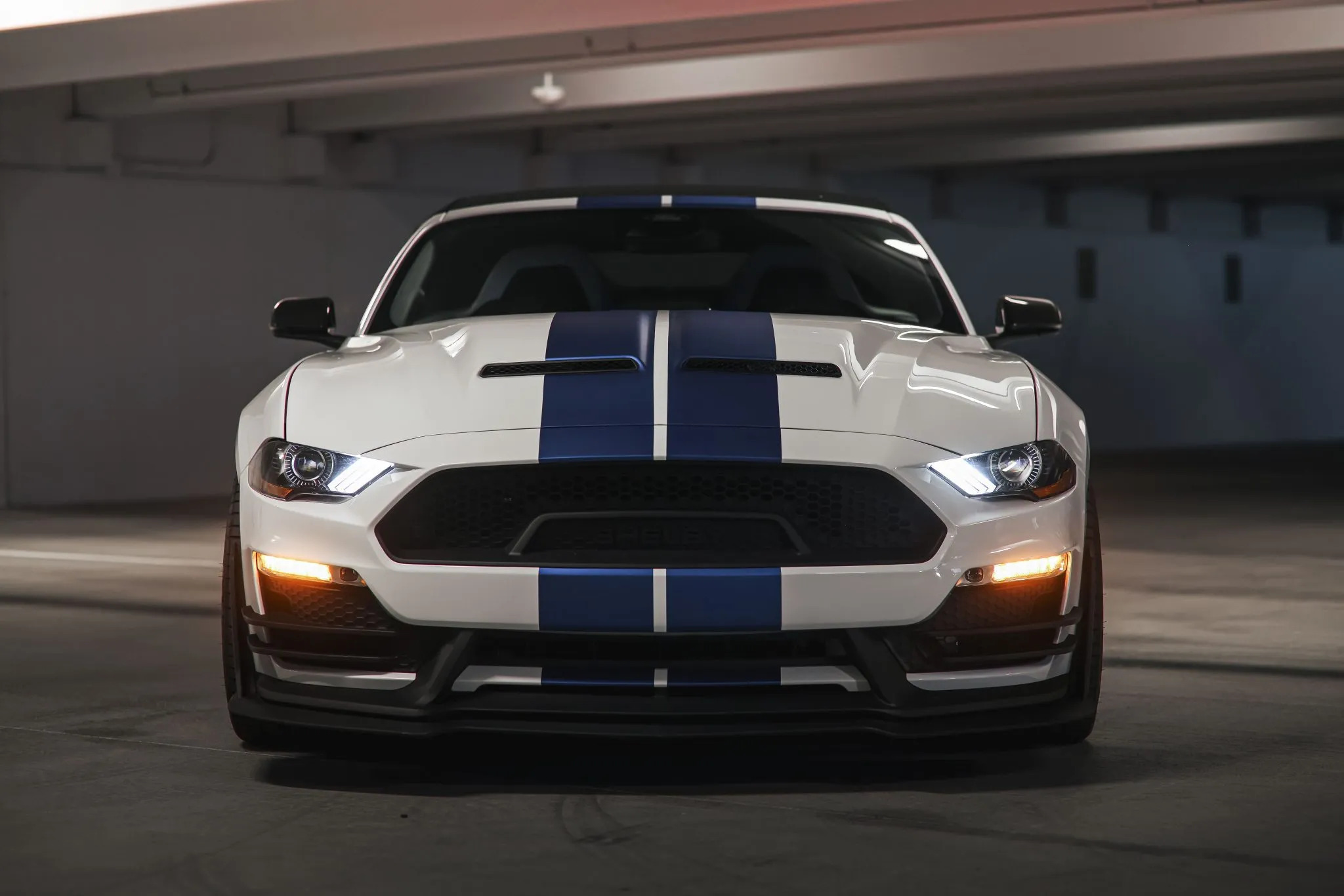 Ford Mustang Shelby Super Snake Speedster 5