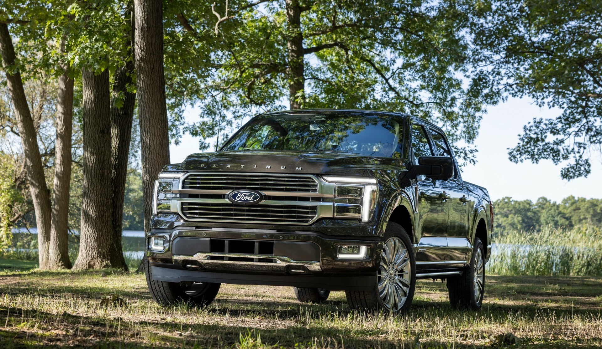 Ford F-Series Sales 1228 13
