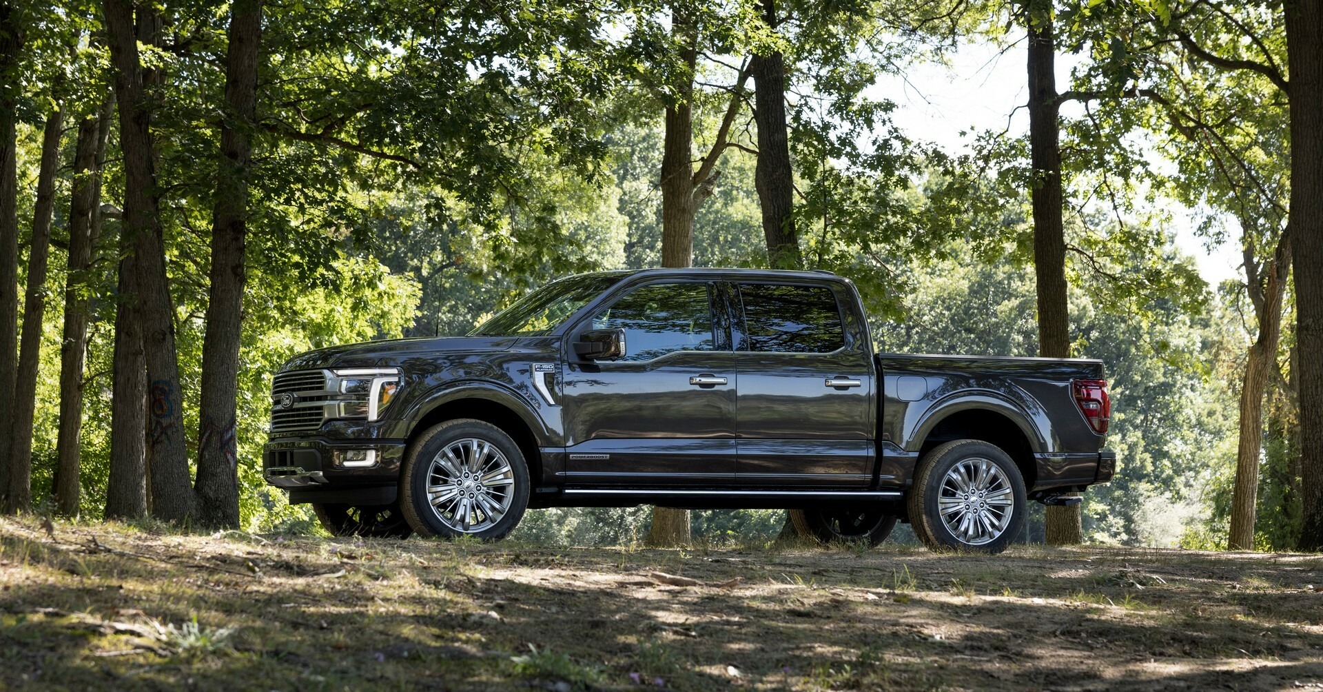 Ford F-Series Sales 1228 15