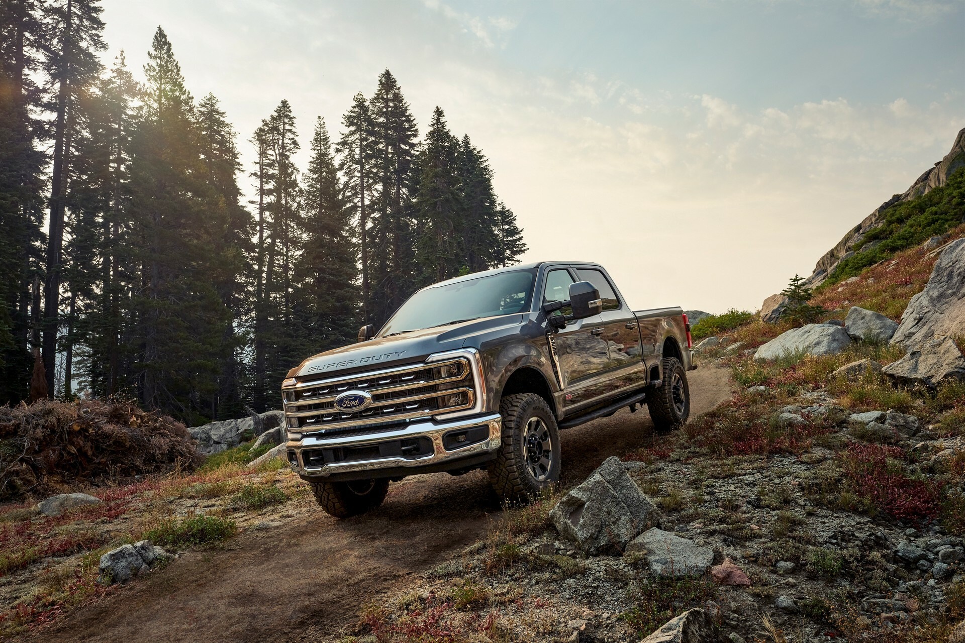 Ford F-Series Sales 1228 3