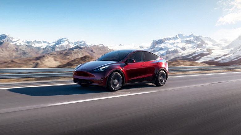 2023 Tesla Model Y 2