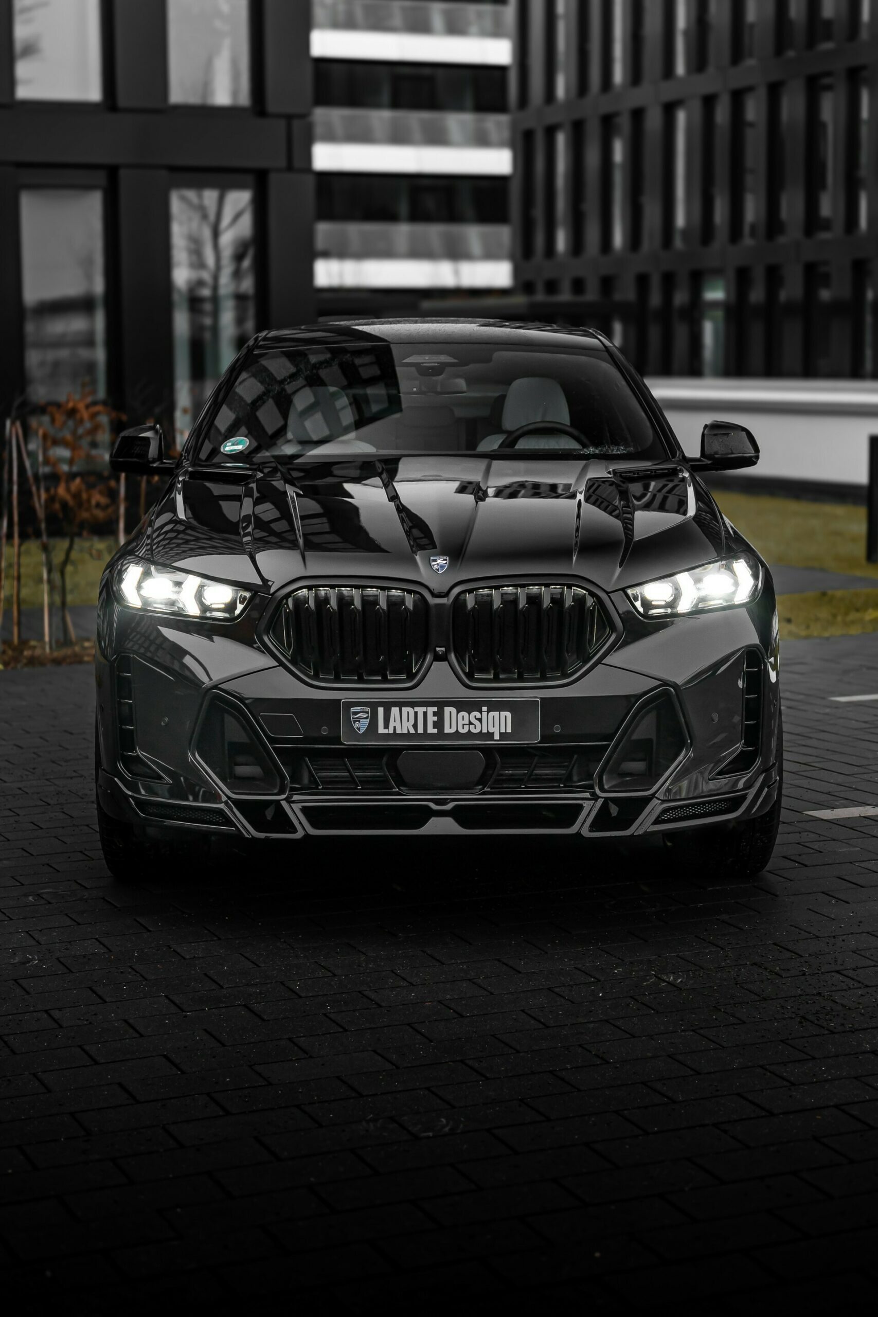 BMW X6 Larte Design - 11