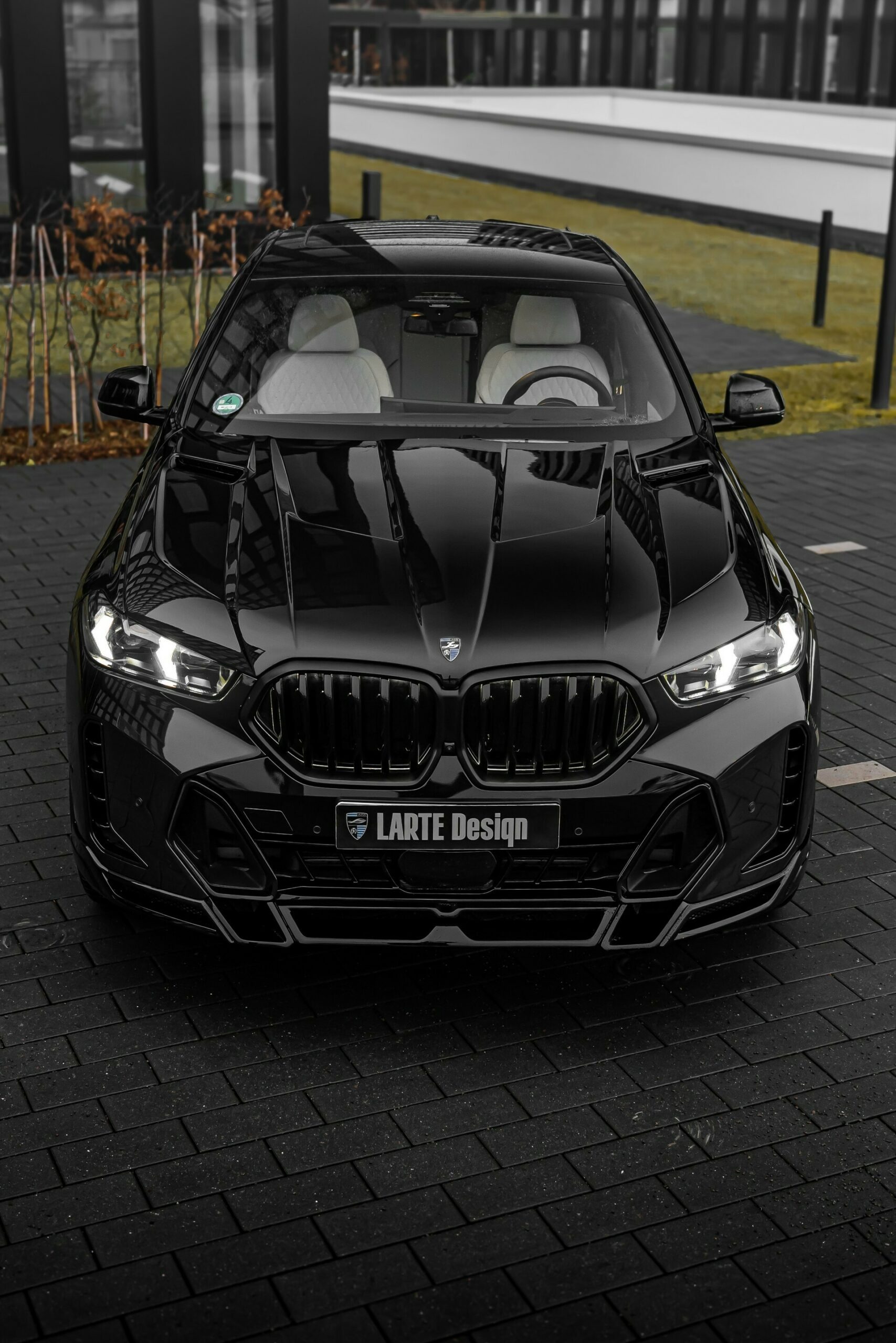 BMW X6 Larte Design - 14