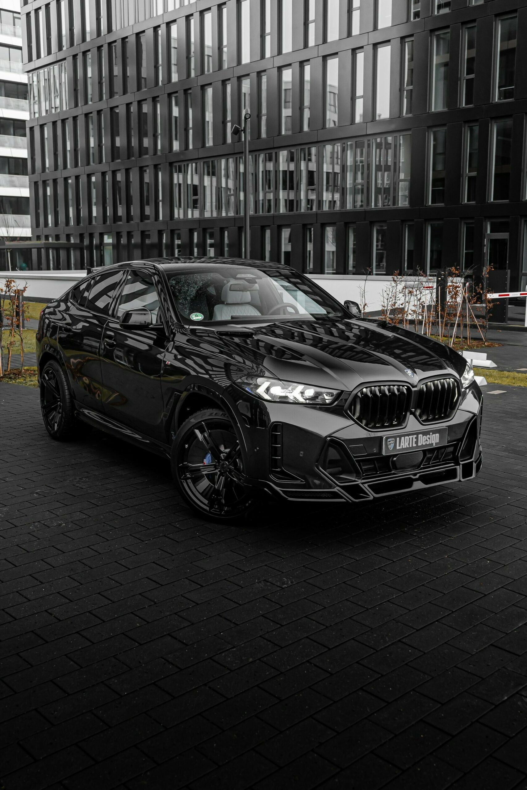 BMW X6 Larte Design - 8