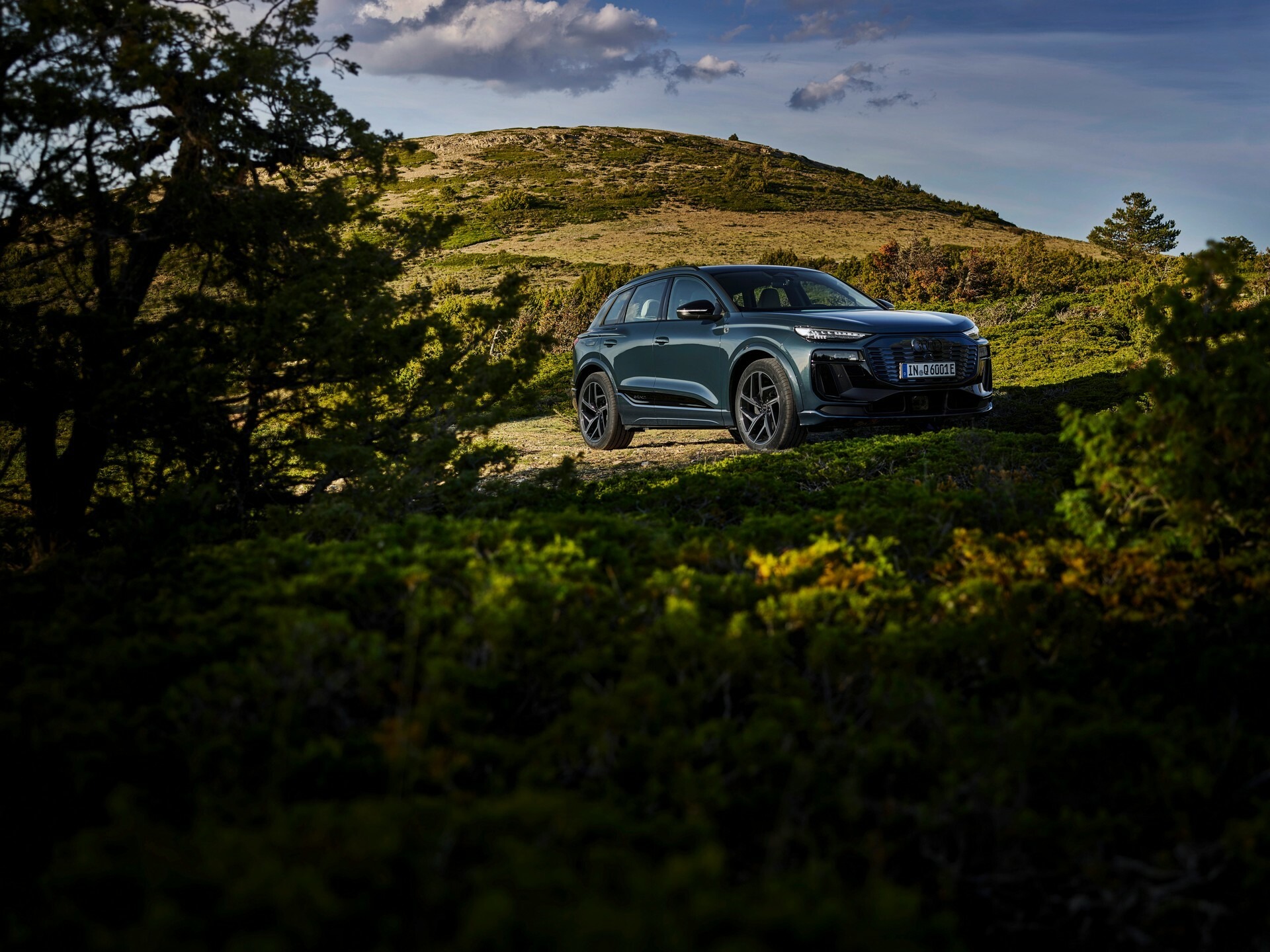 2025 Audi Q6 e-tron 03018 42