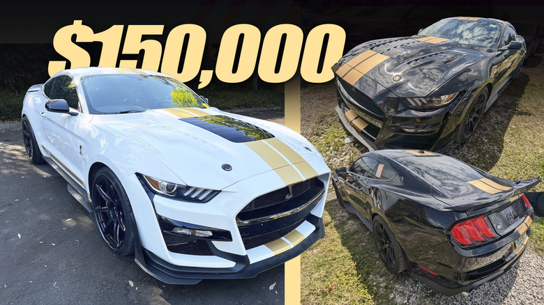 Herz - Ford Mustang Shelby GT500 Coupe (main) (1)