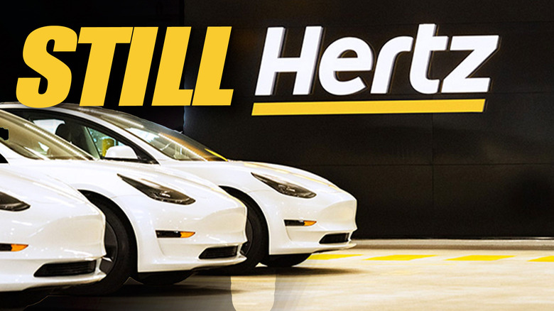 Still hertz Nov1324