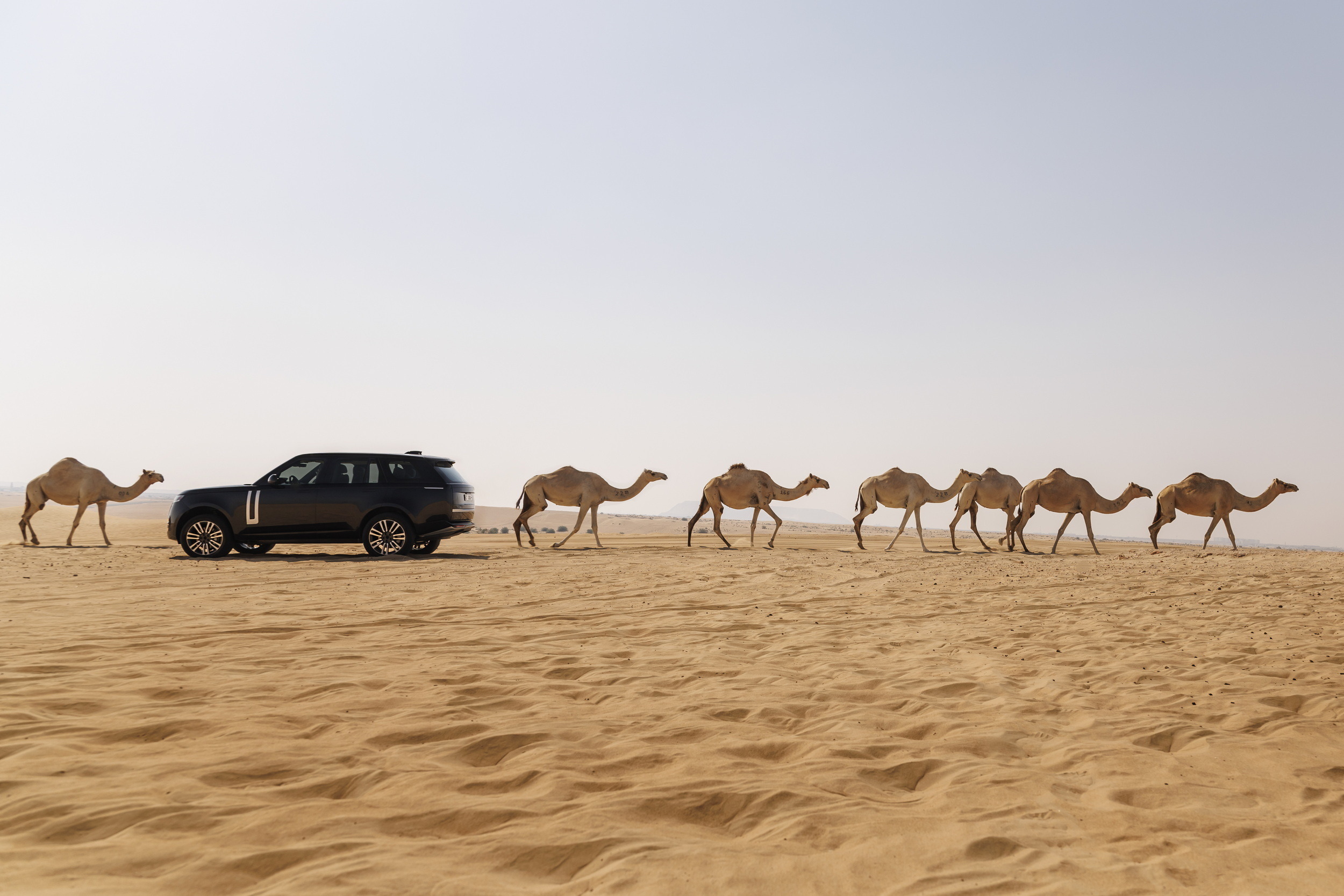 Range Rover BEV Prototype - United Arab Emirates (14)