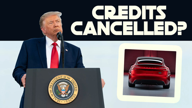 Trump copy