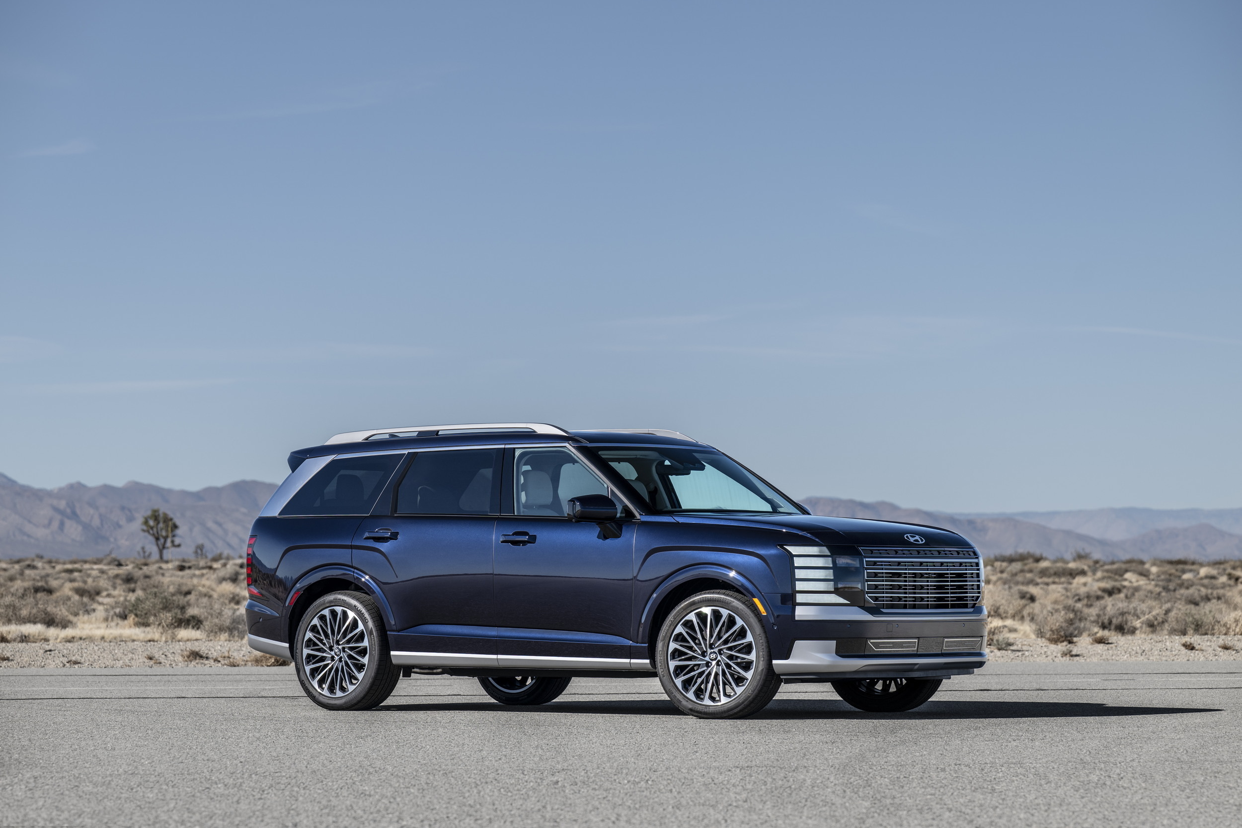 65625-2026PalisadeICECalligraphy