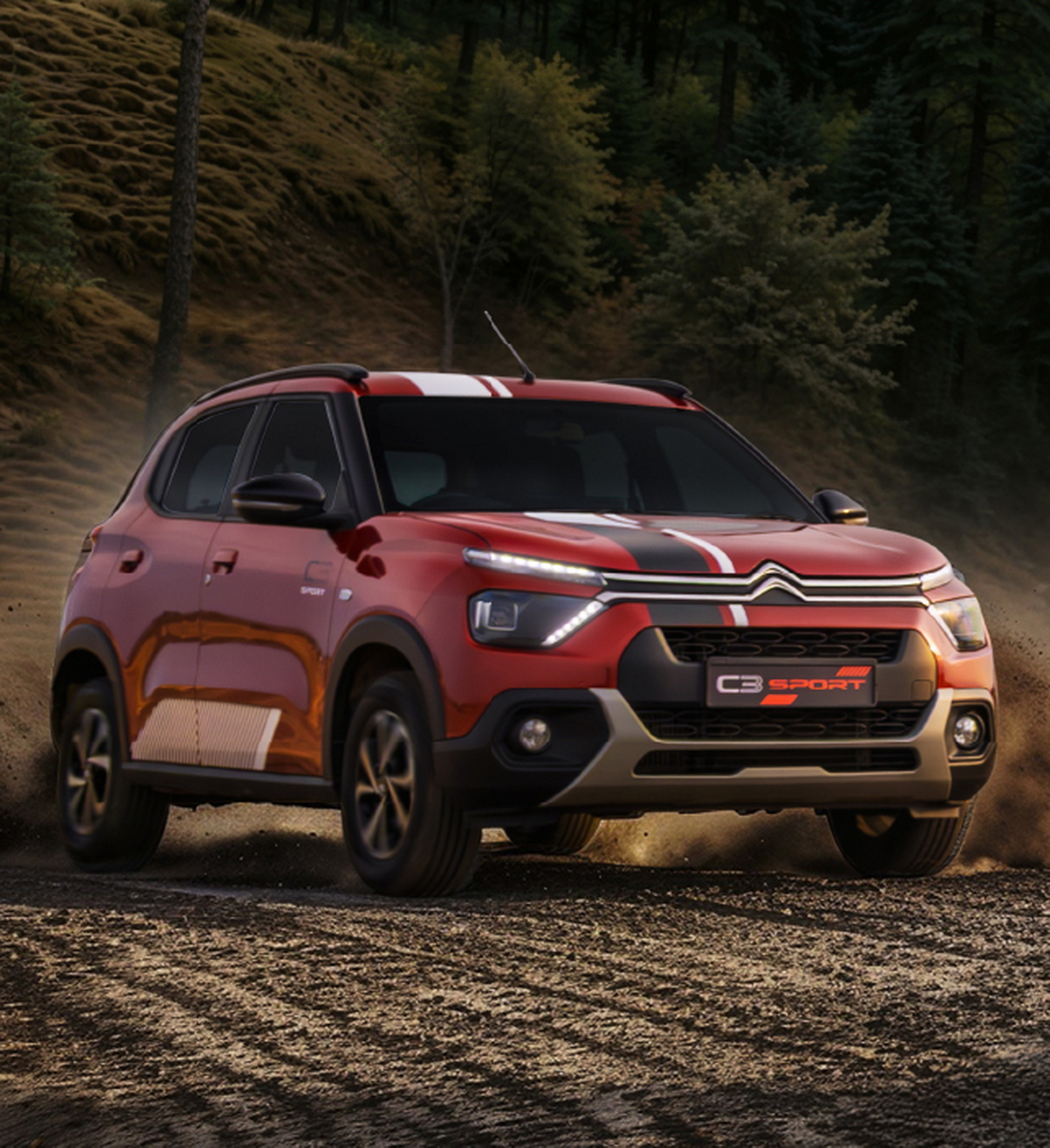 Citroen C3 Sport (9)