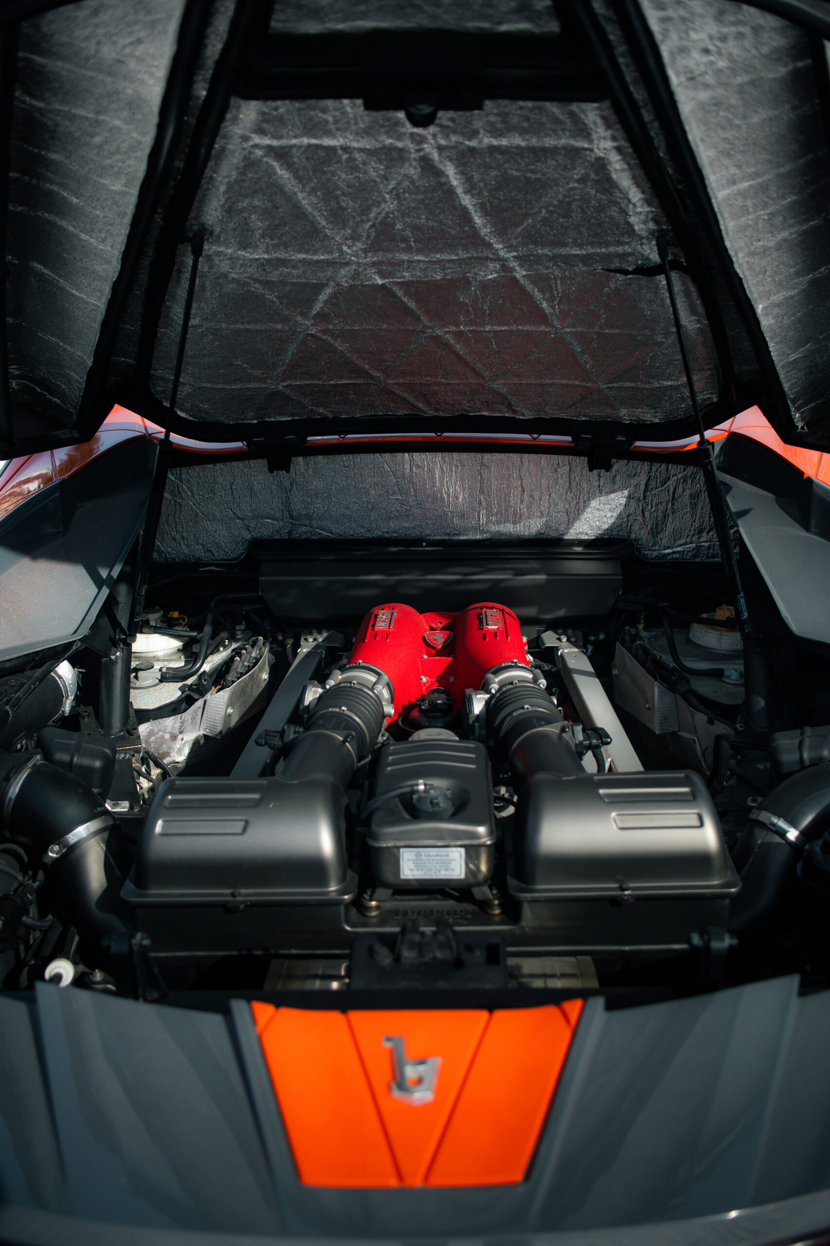 2012-Bertone-Nuccio_1356152