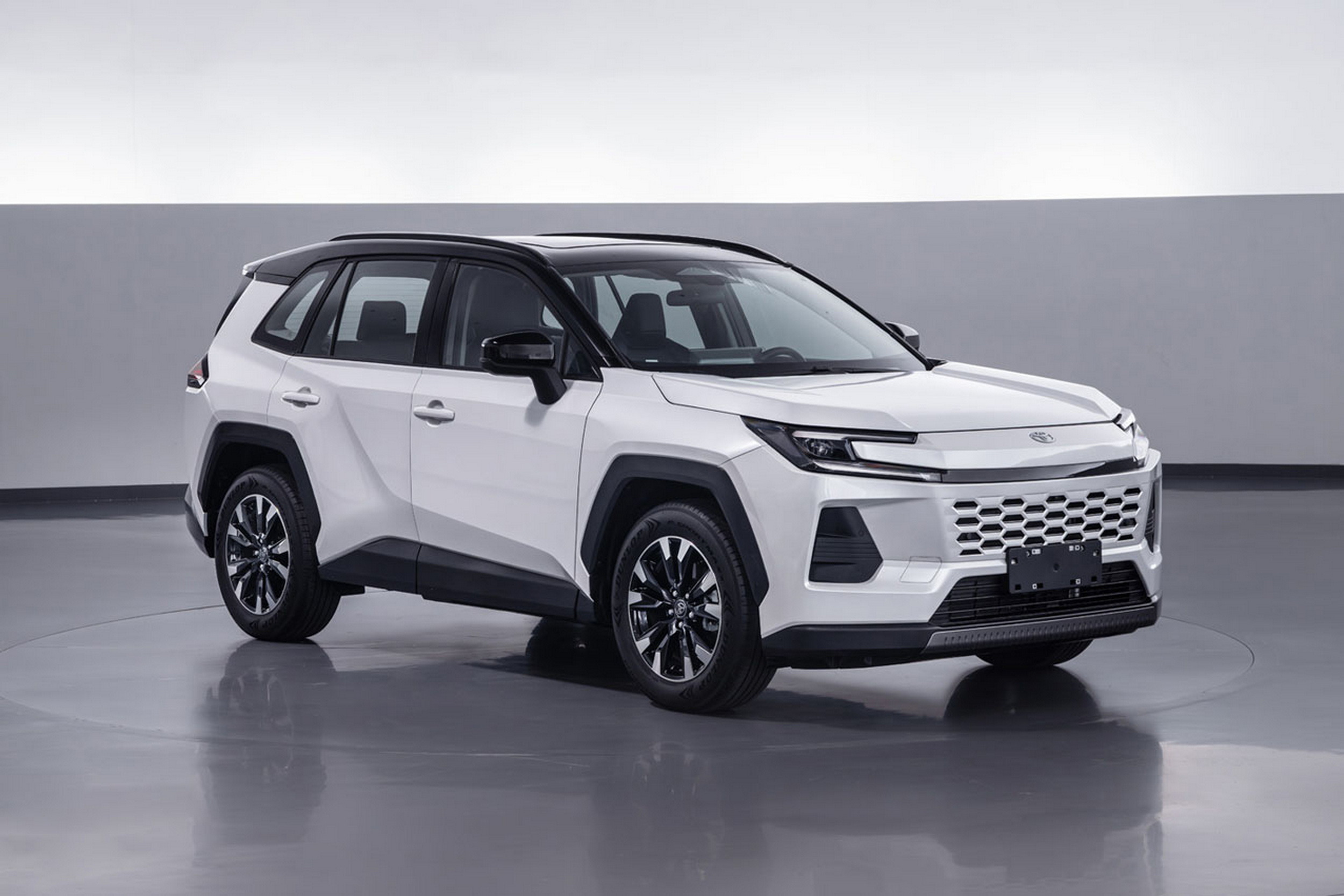 Toyota Wildlander - China (1)