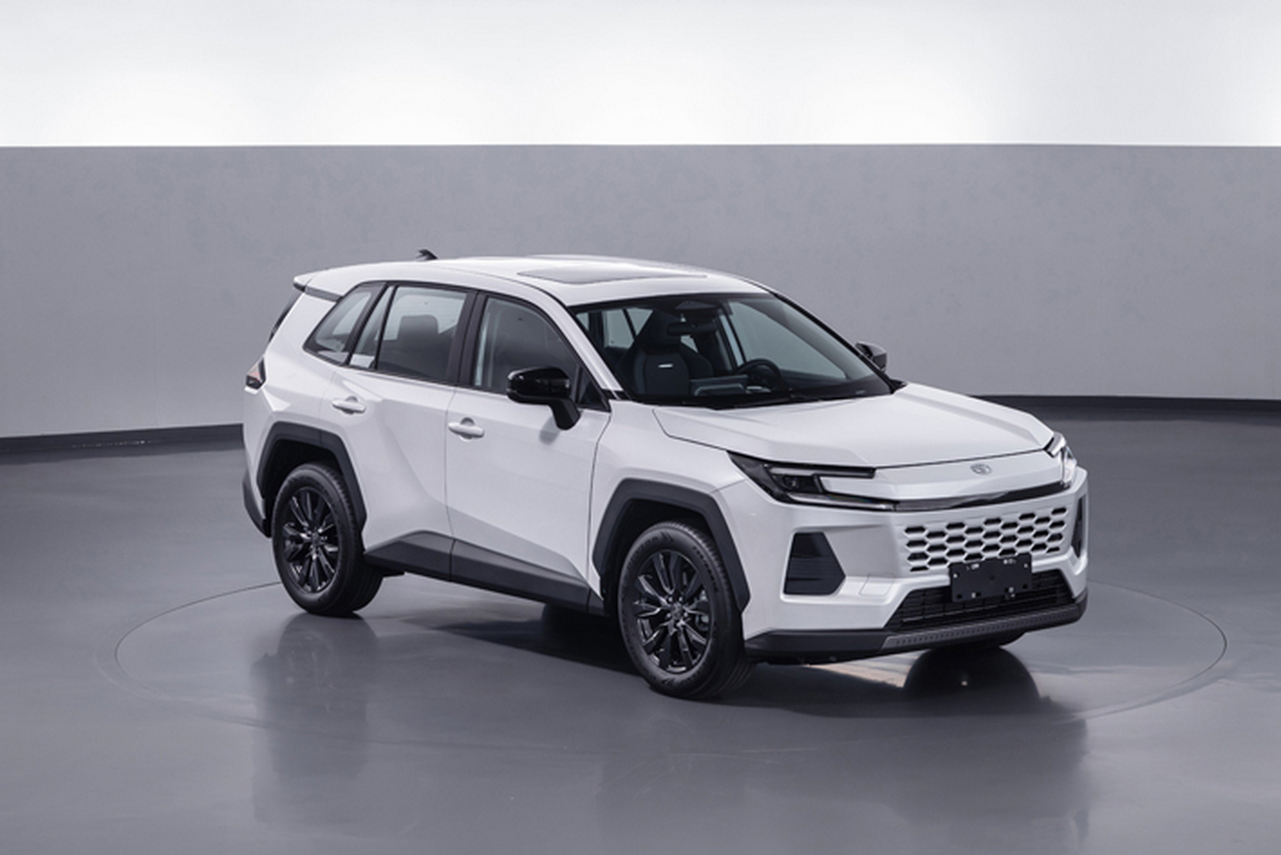Toyota Wildlander - China (10)
