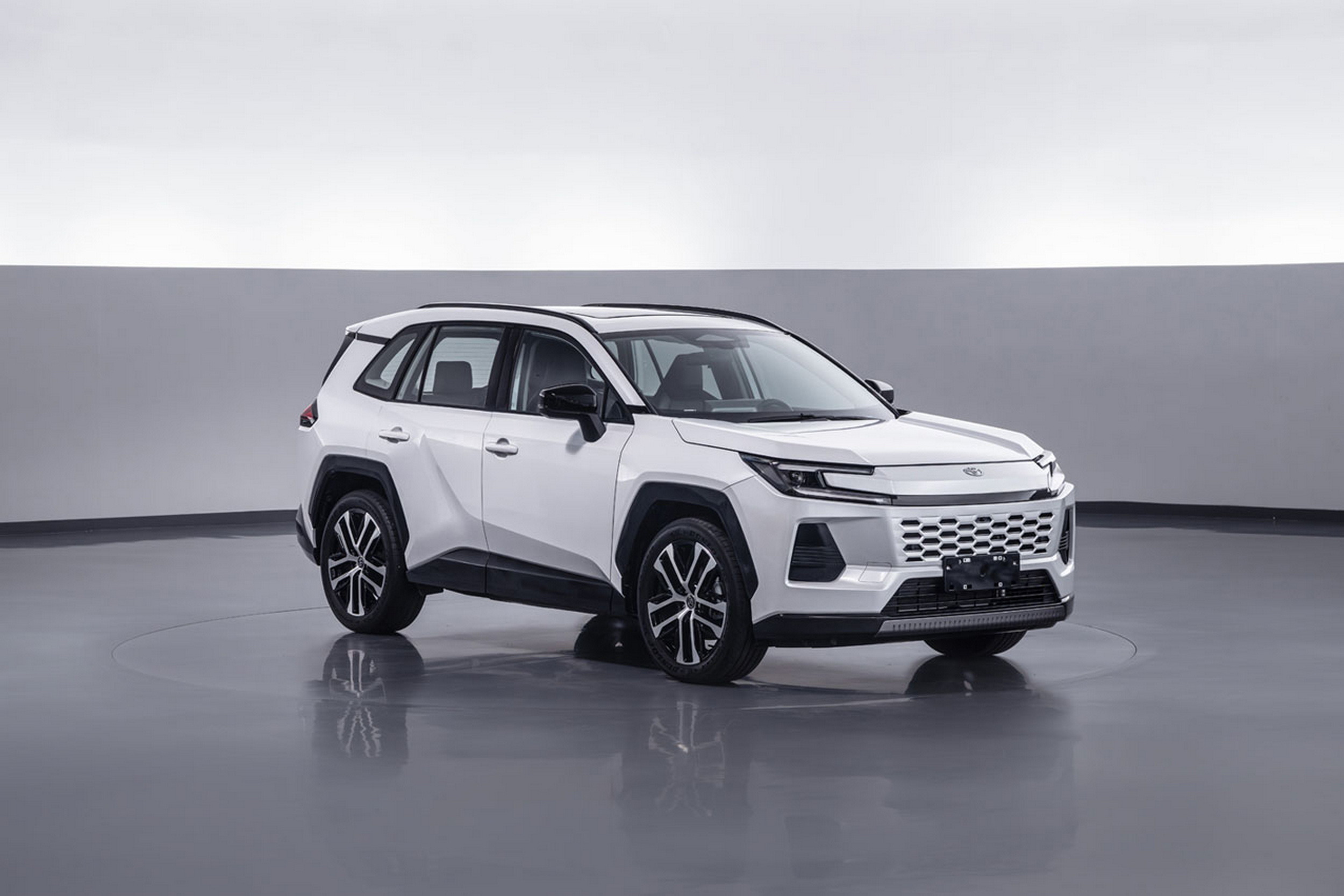 Toyota Wildlander - China (13)