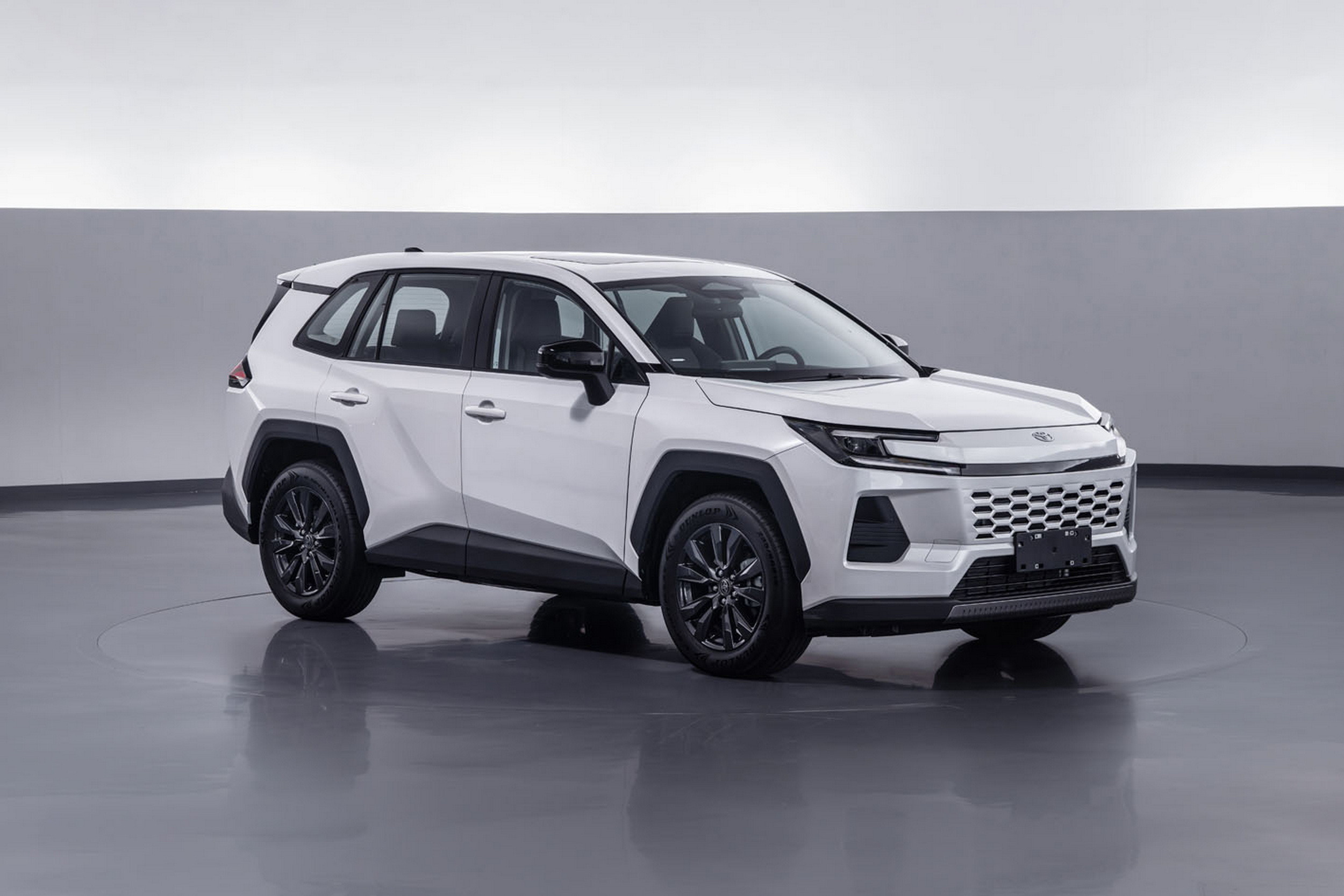 Toyota Wildlander - China (16)