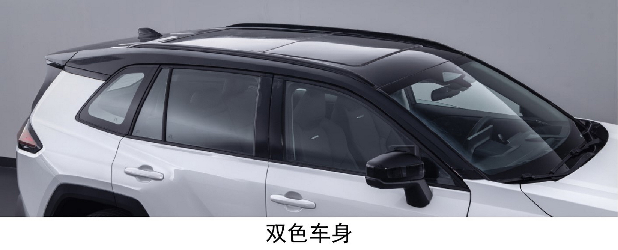 Toyota Wildlander - China (6)
