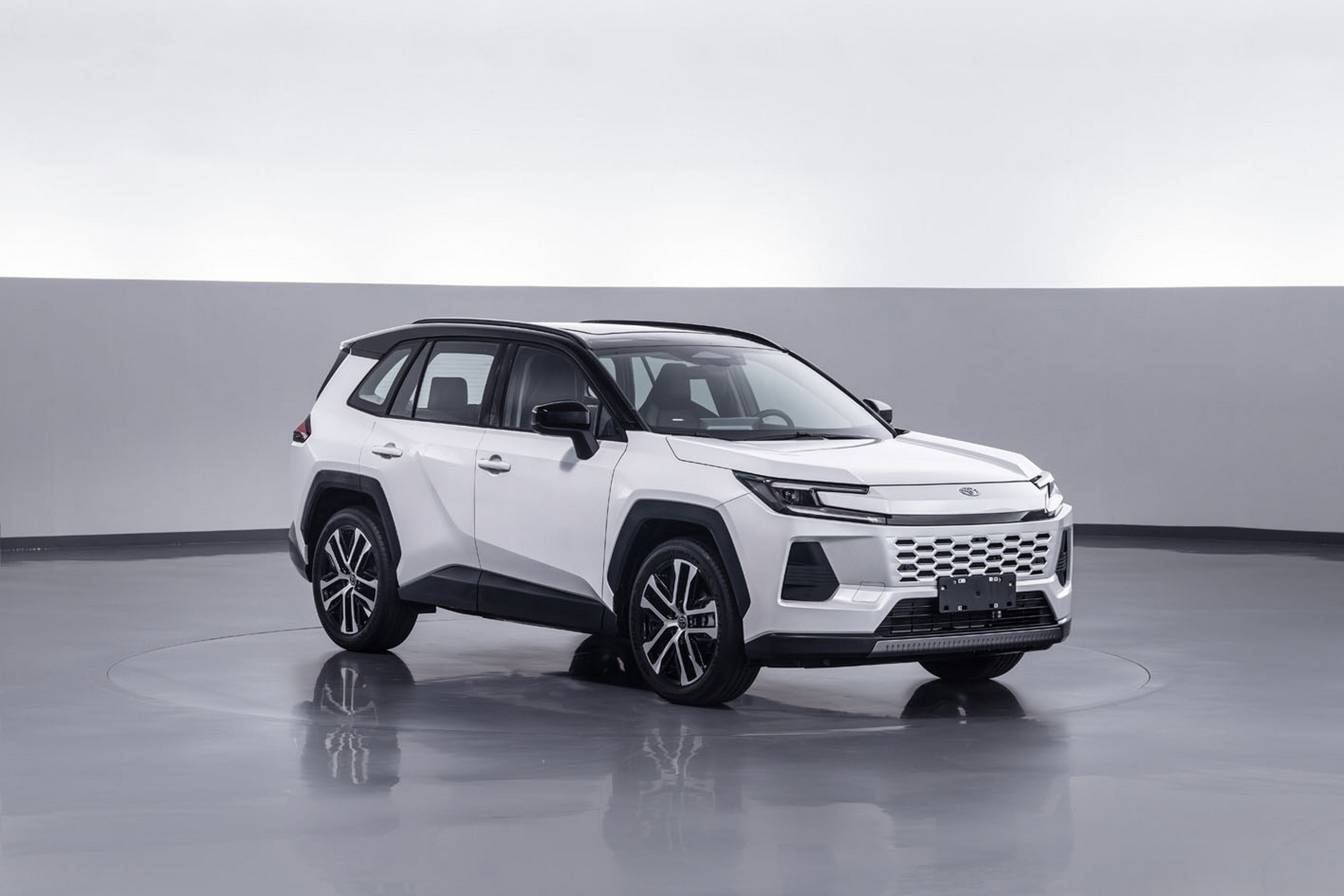 Toyota Wildlander - China (7)