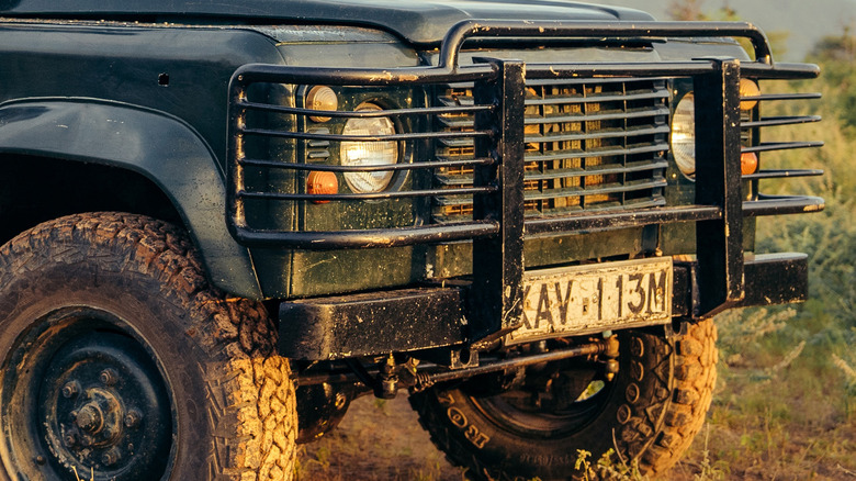 Safari Nov24251