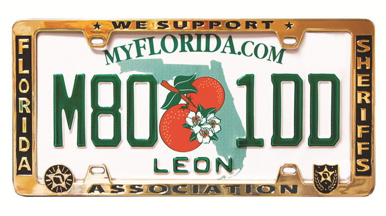 fsa-license-frameb