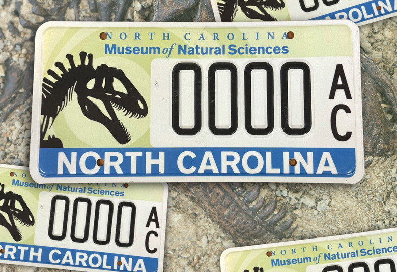 naturalsciences_1764774018_3779520855513064632_974280674 copy