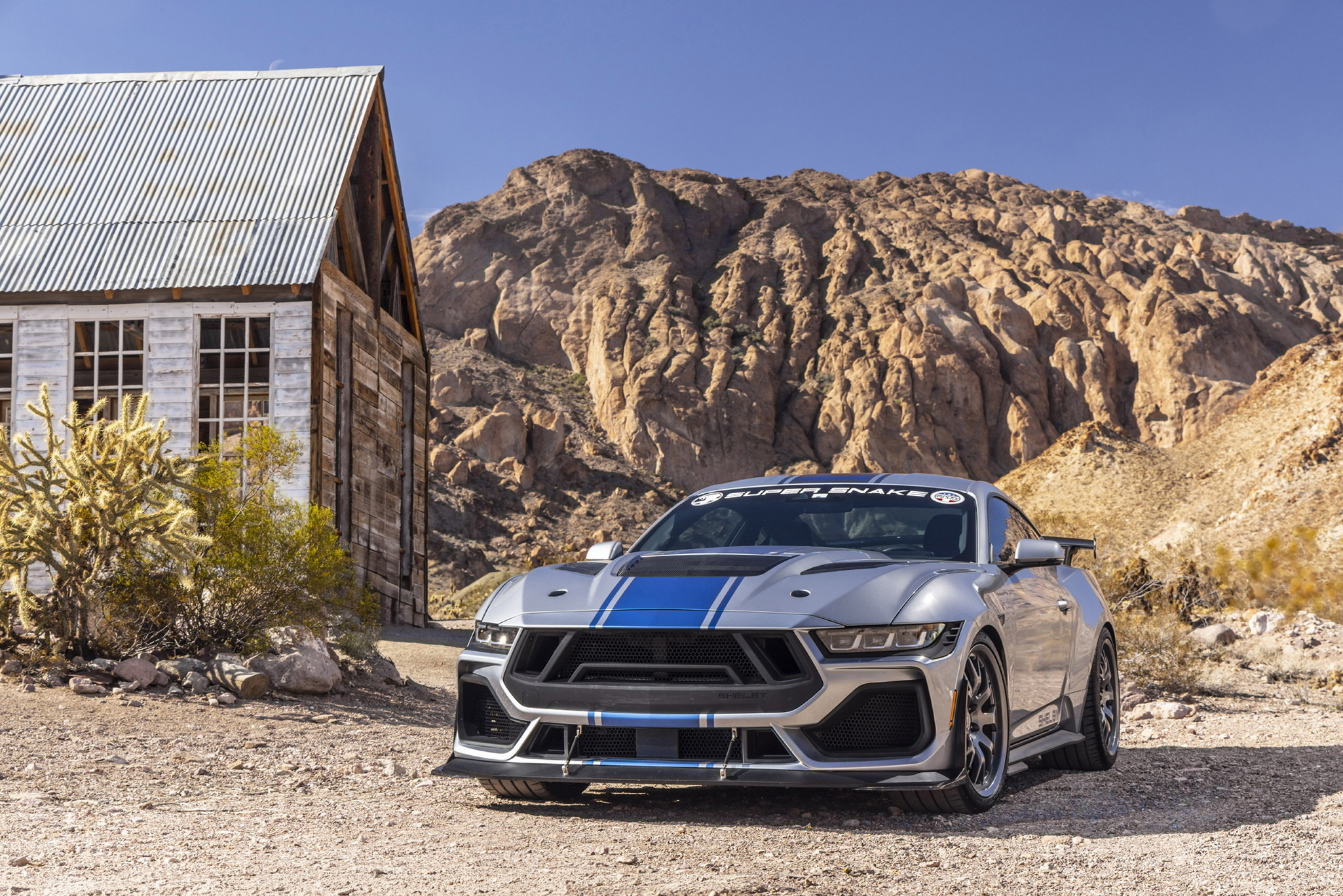shelbysupersnake-26-gallery-02