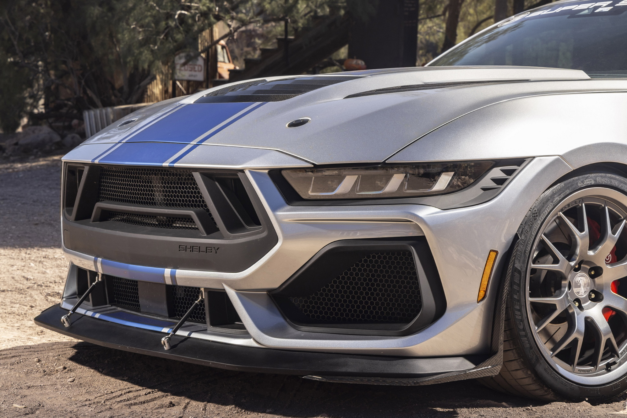 shelbysupersnake-26-gallery-07