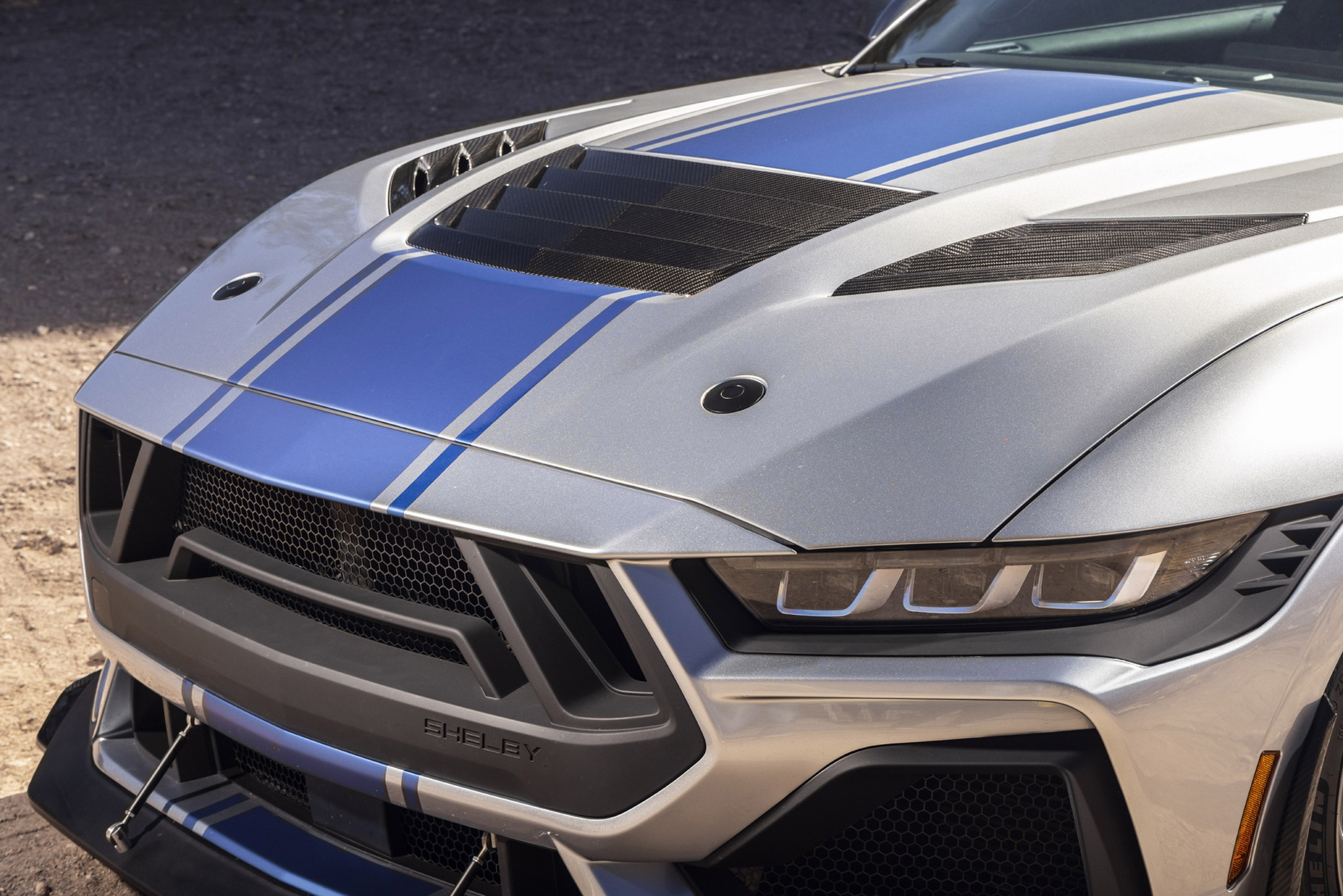 shelbysupersnake-26-gallery-08