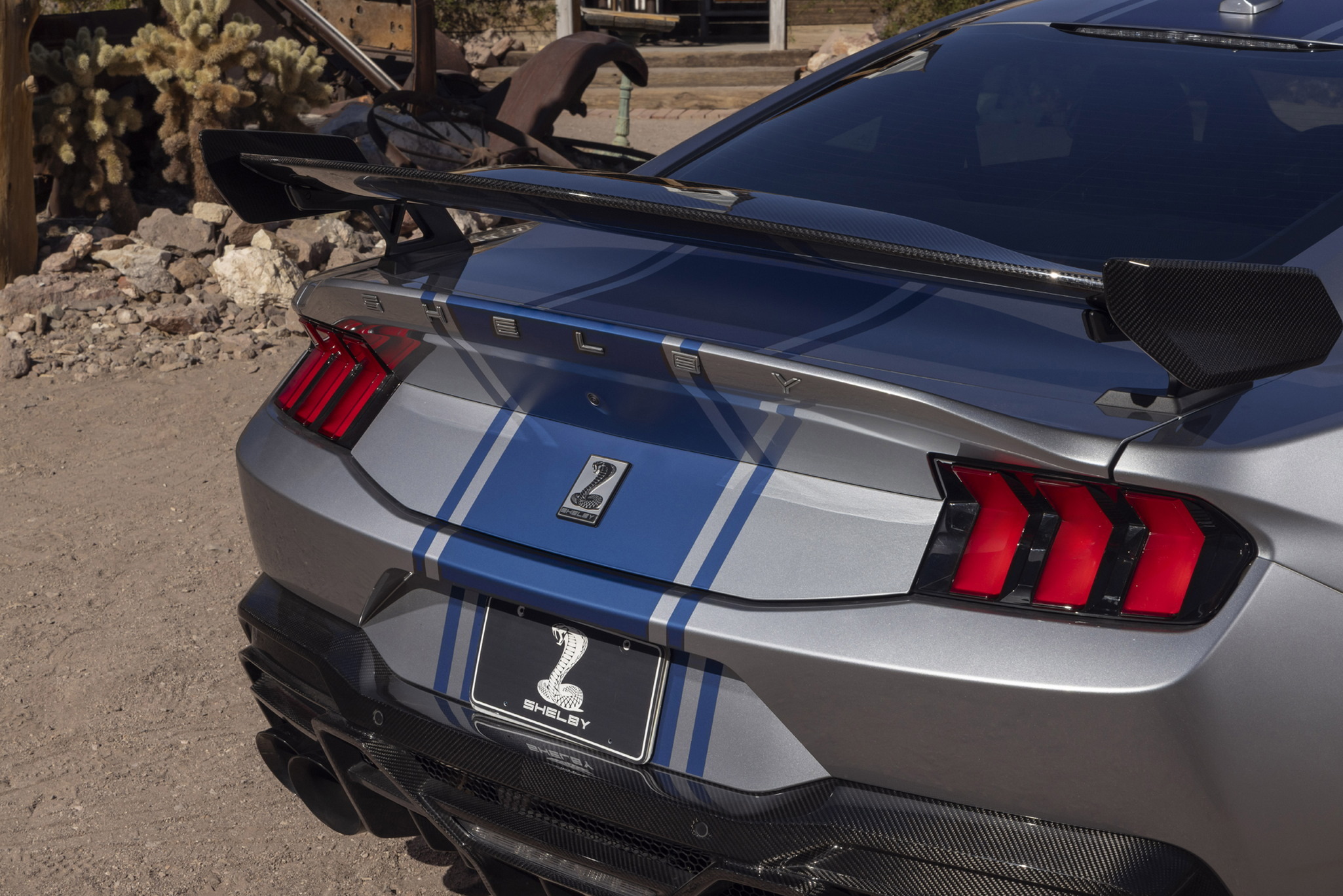 shelbysupersnake-26-gallery-10