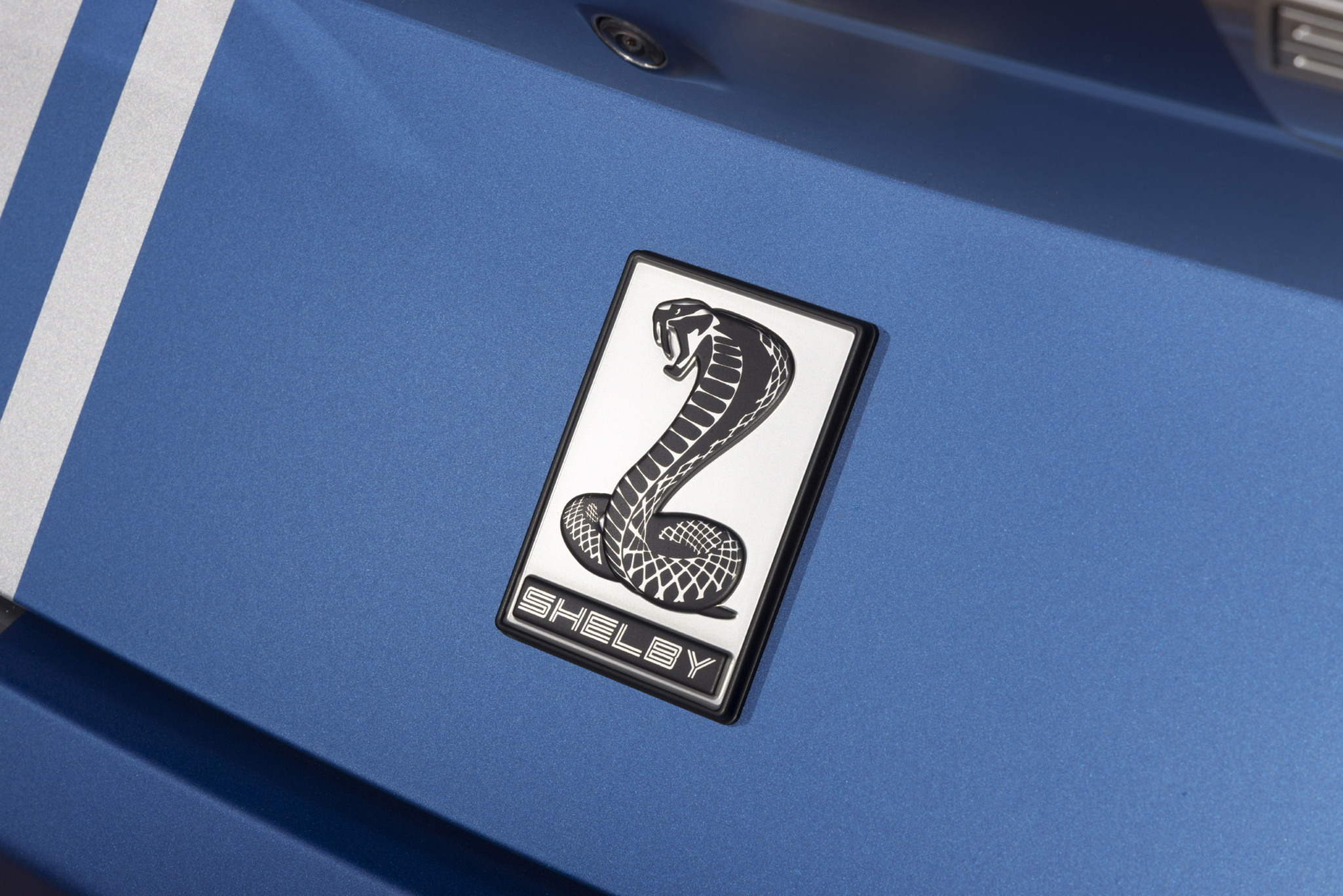 shelbysupersnake-26-gallery-11