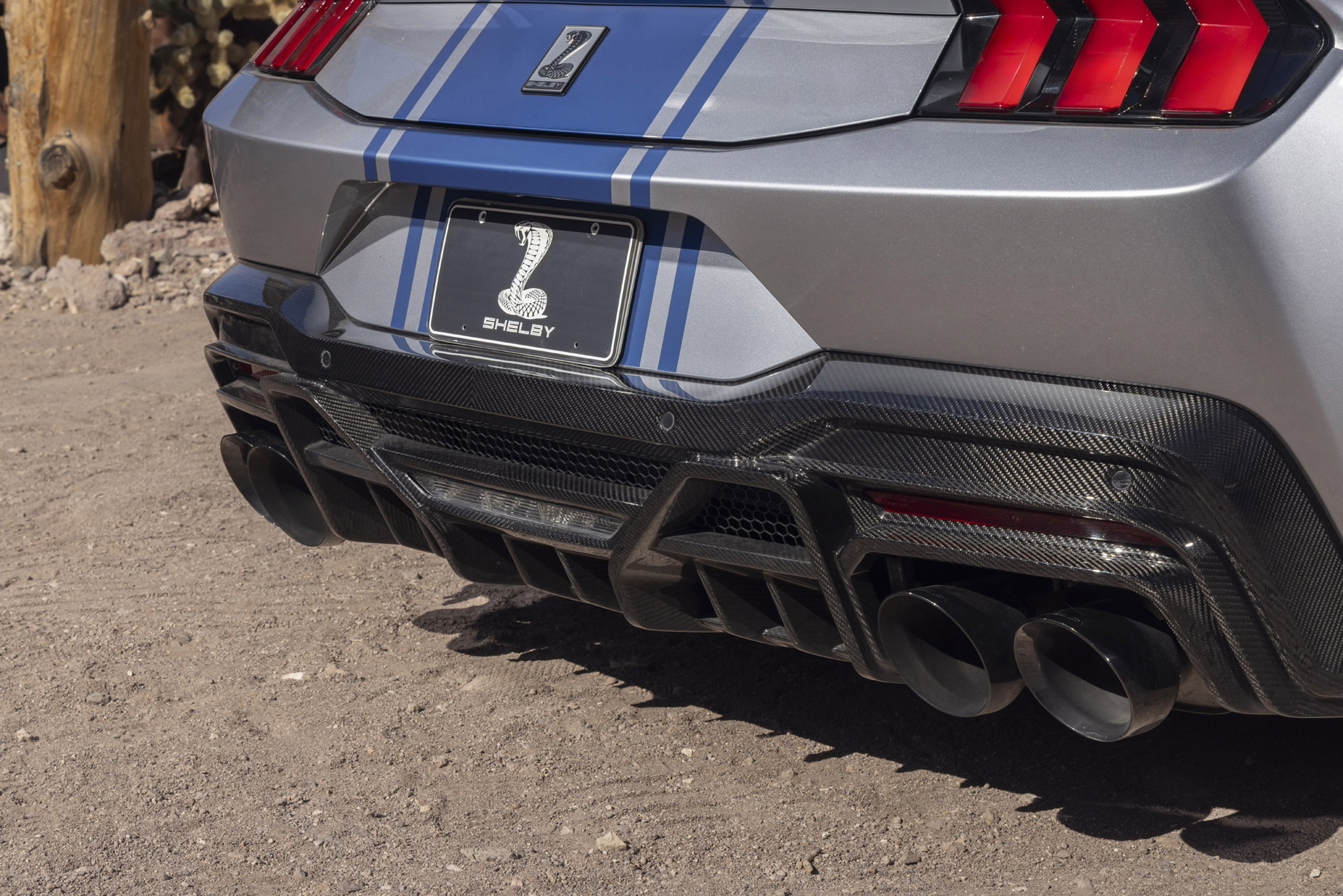 shelbysupersnake-26-gallery-12
