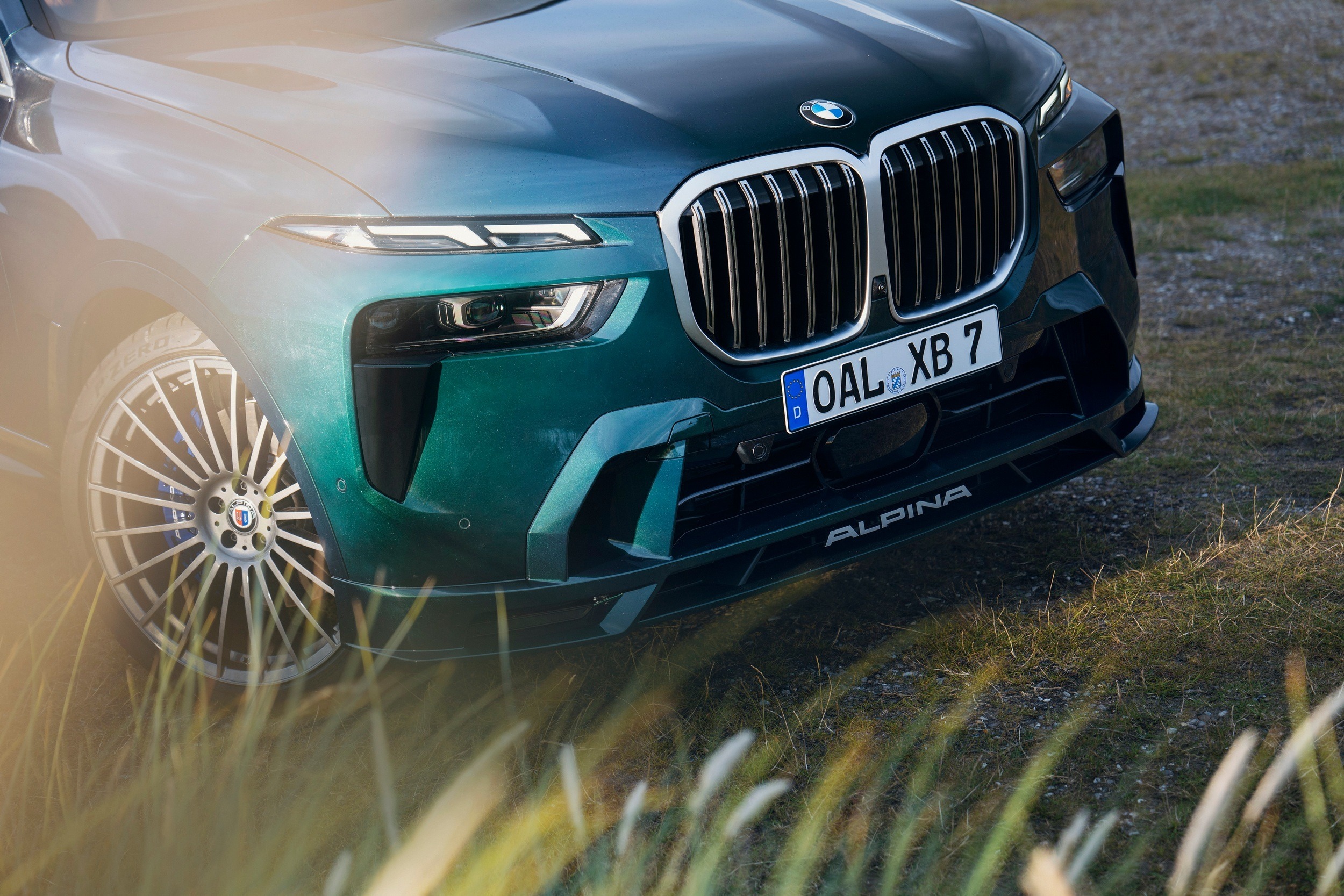 Older Alpina Wheel 121 1