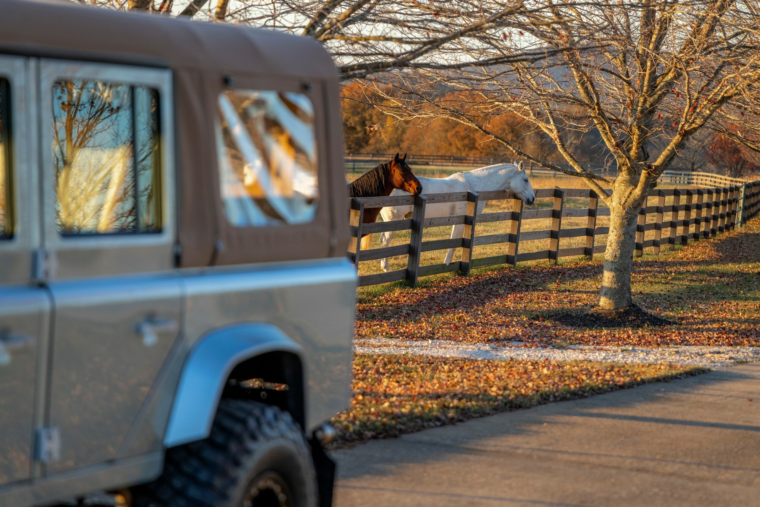 Arvon Land Rover Defender - 93