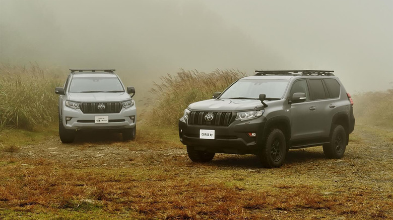 Toyota Land Cruiser Prado Newscape (5)