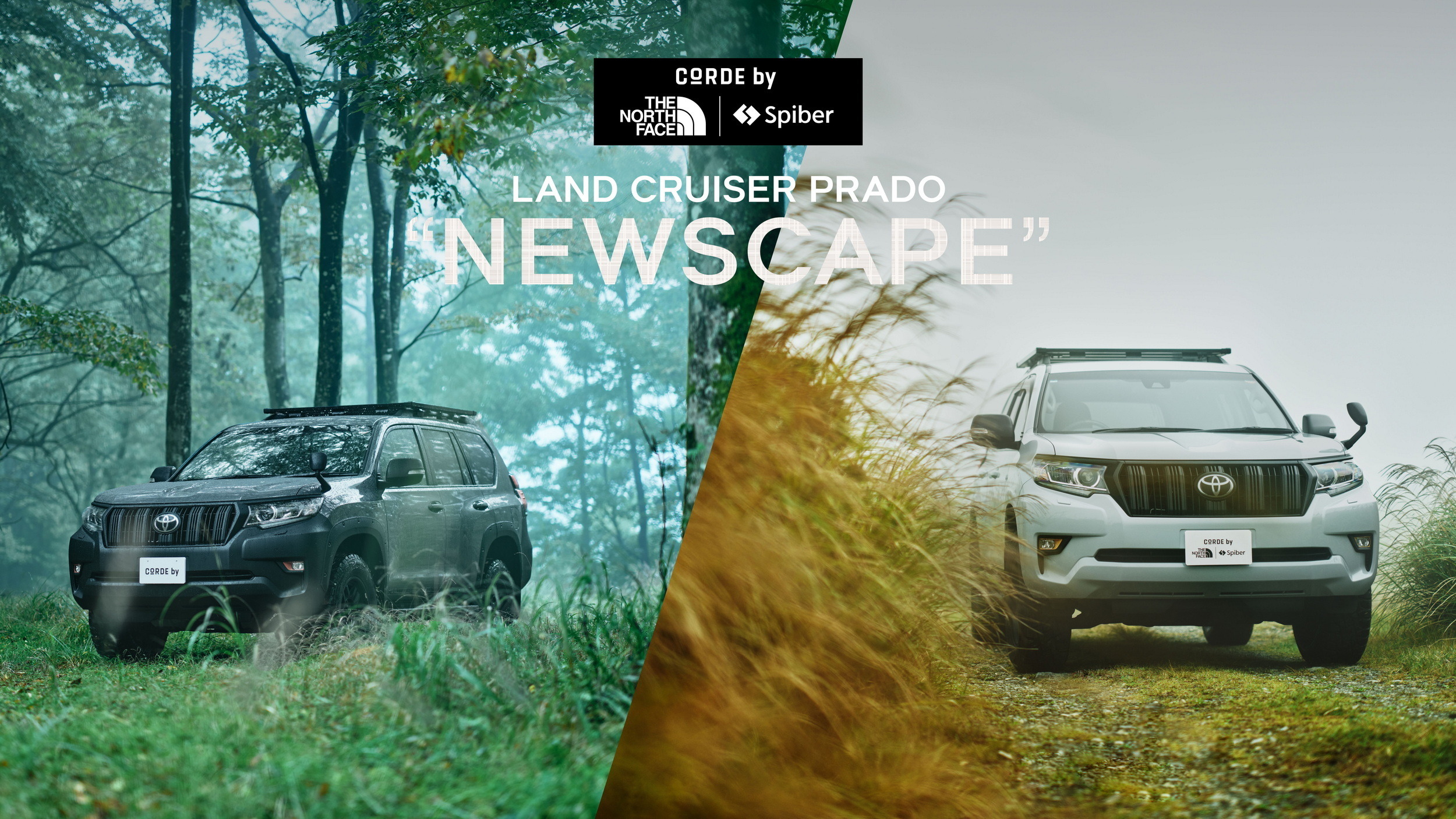 Toyota Land Cruiser Prado Newscape (1)