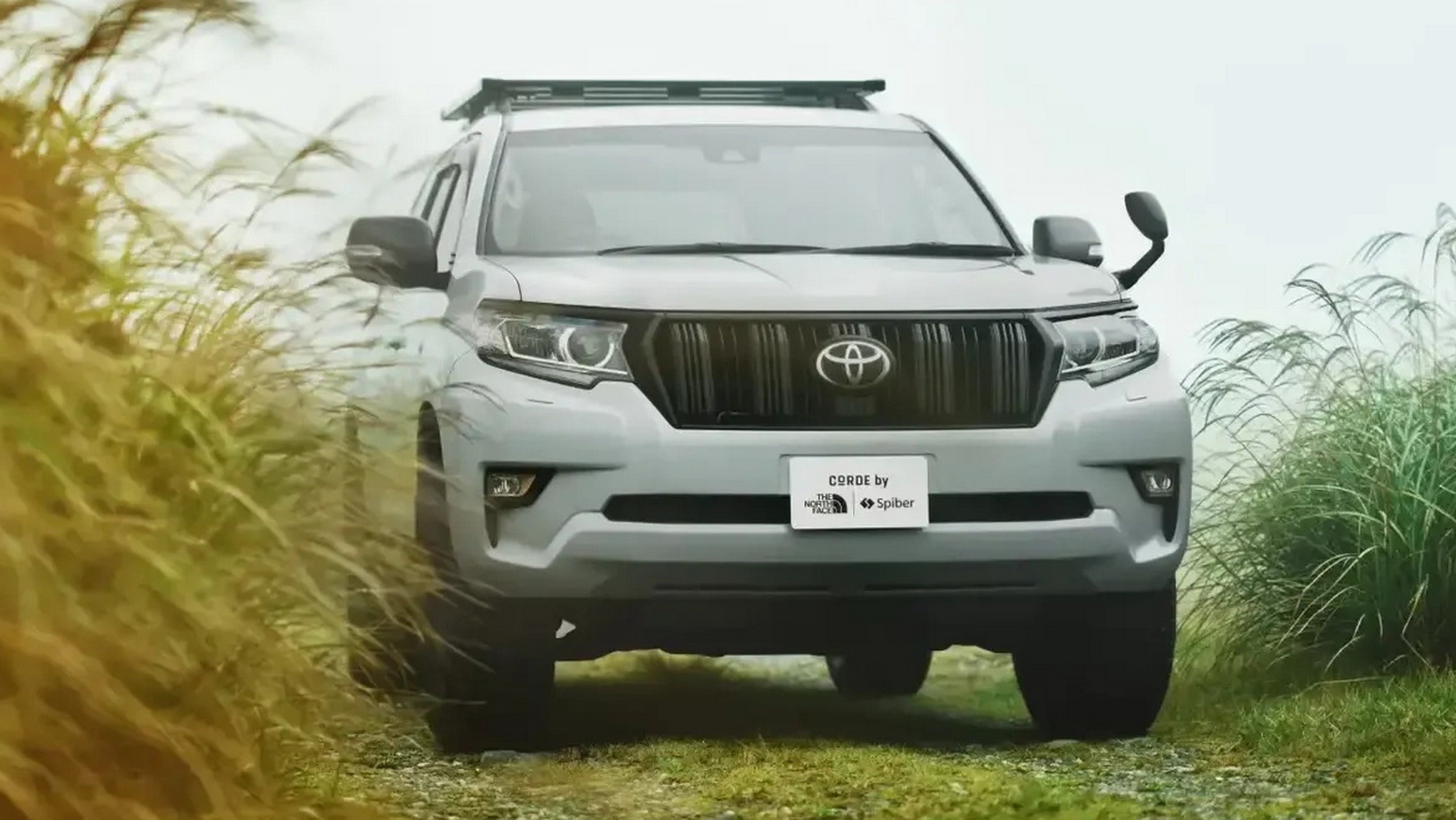 Toyota Land Cruiser Prado Newscape (3)a