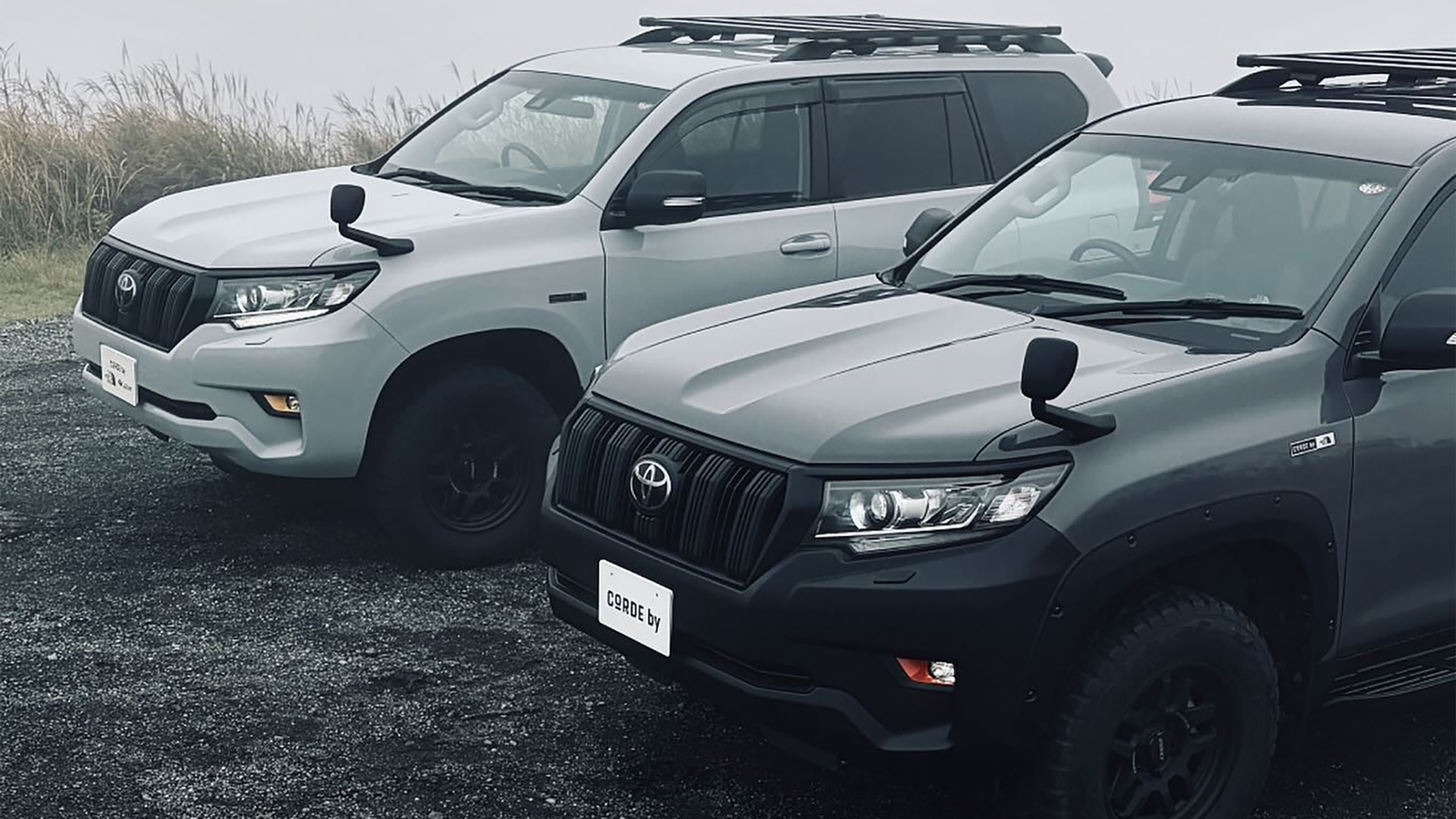 Toyota Land Cruiser Prado Newscape (6)