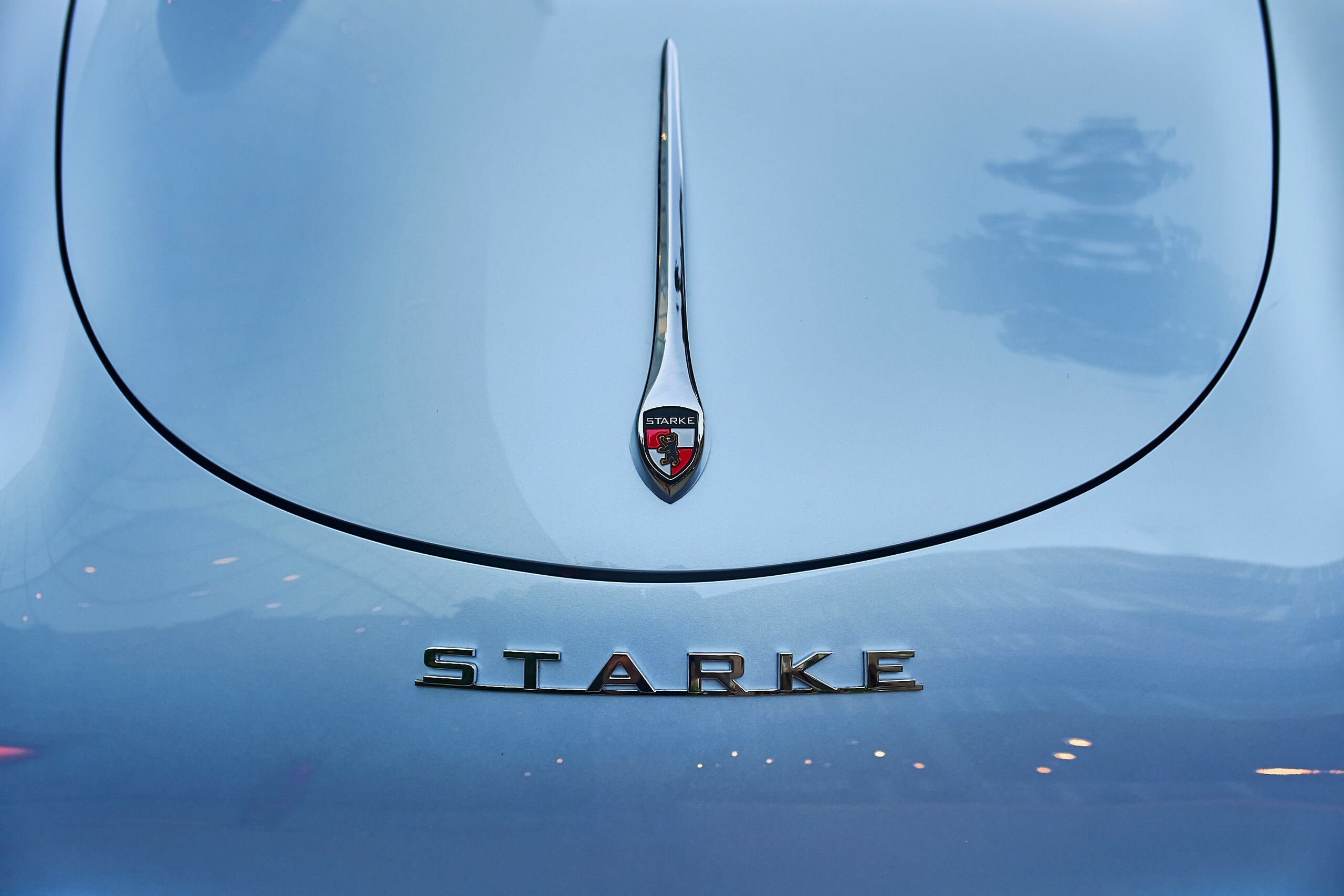 Starke Porsche 718 Speedster - 11
