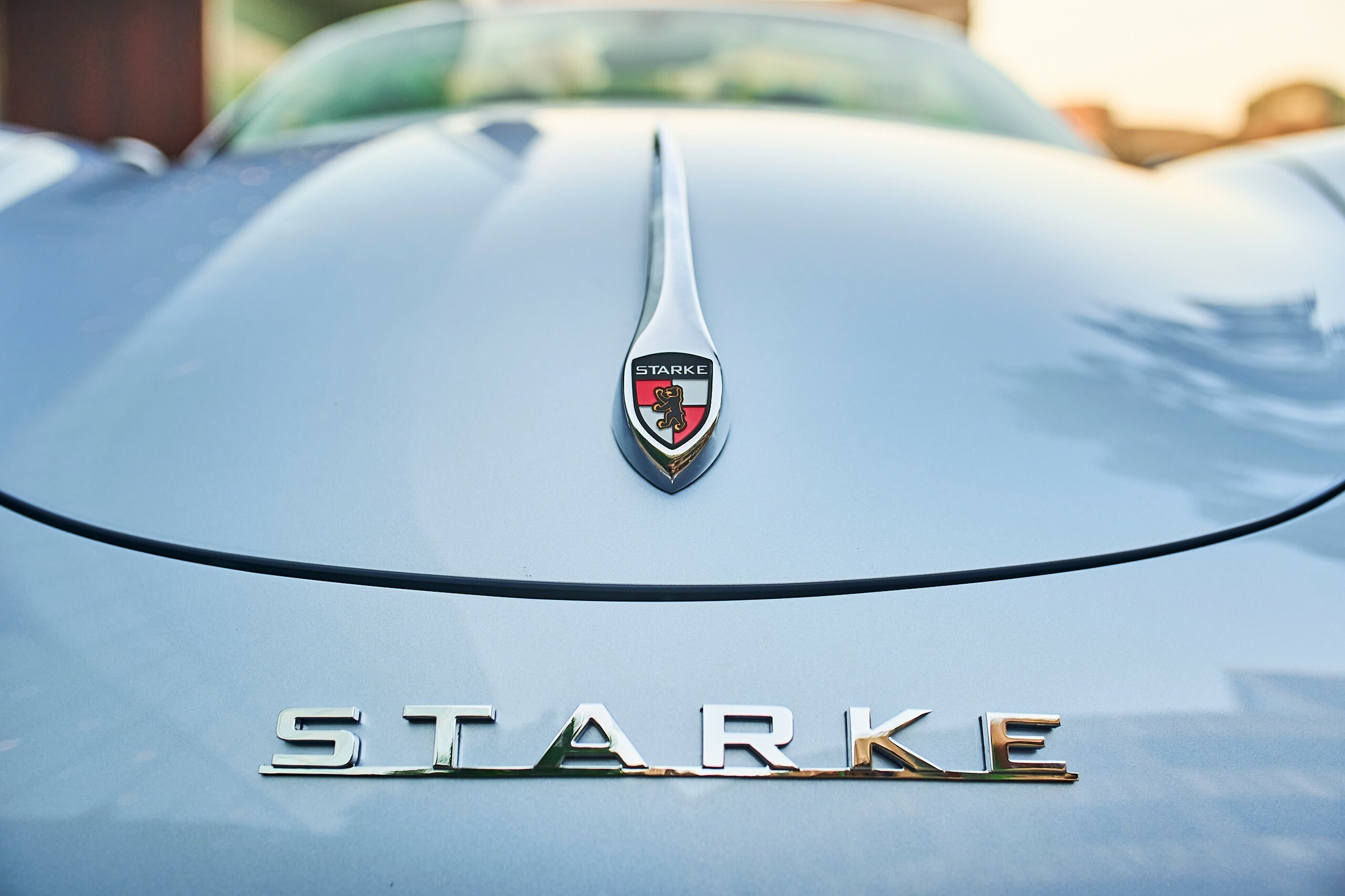 Starke Porsche 718 Speedster - 45