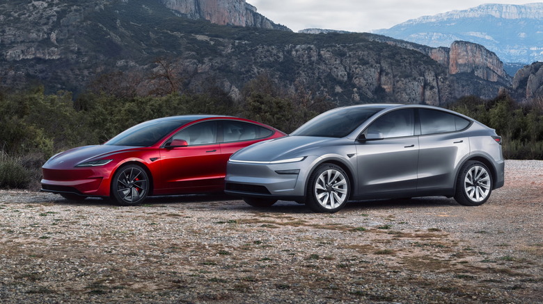 Tesla Model 3 and Model Y (group) (2)