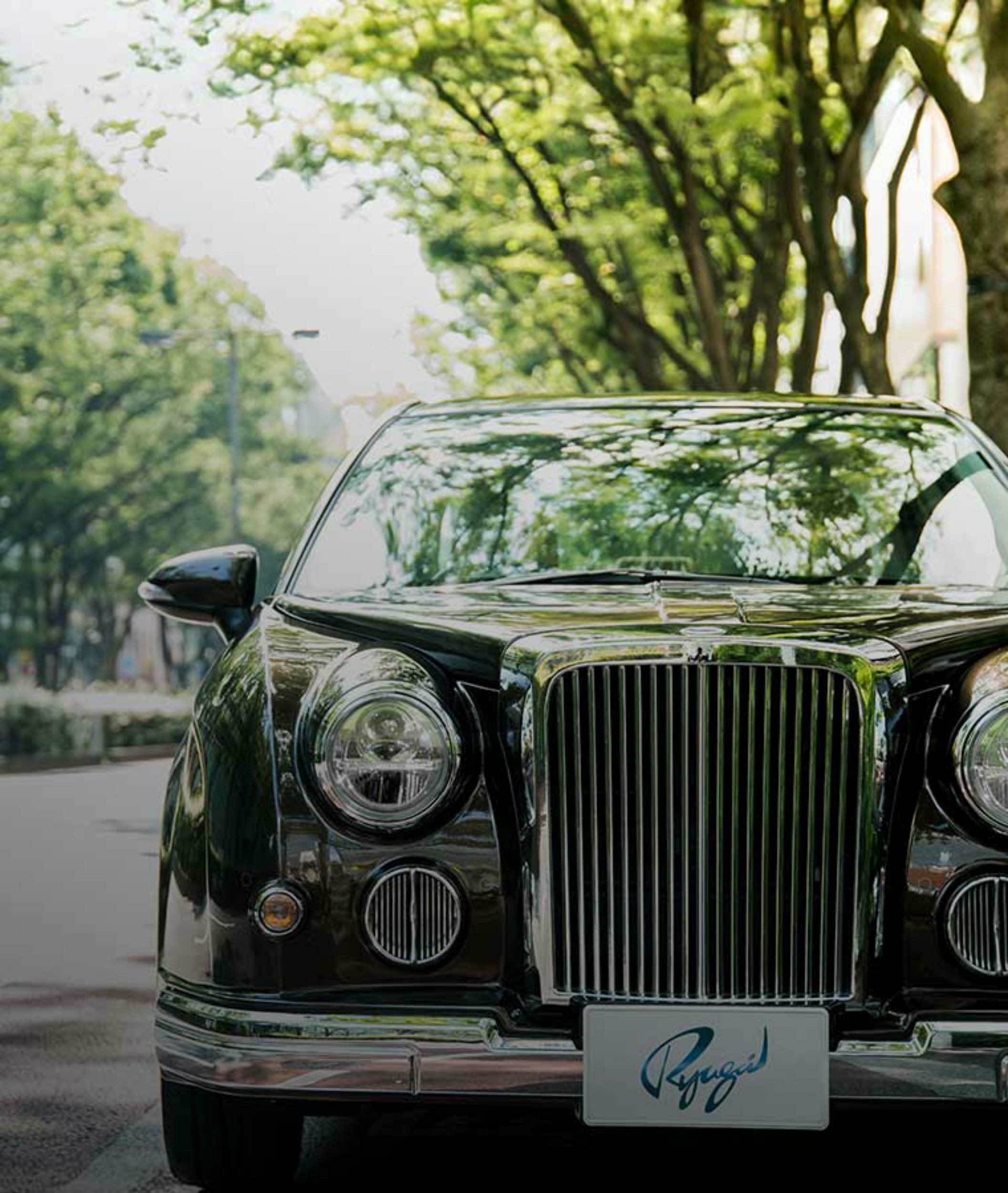 Mitsuoka Ryugi (9)