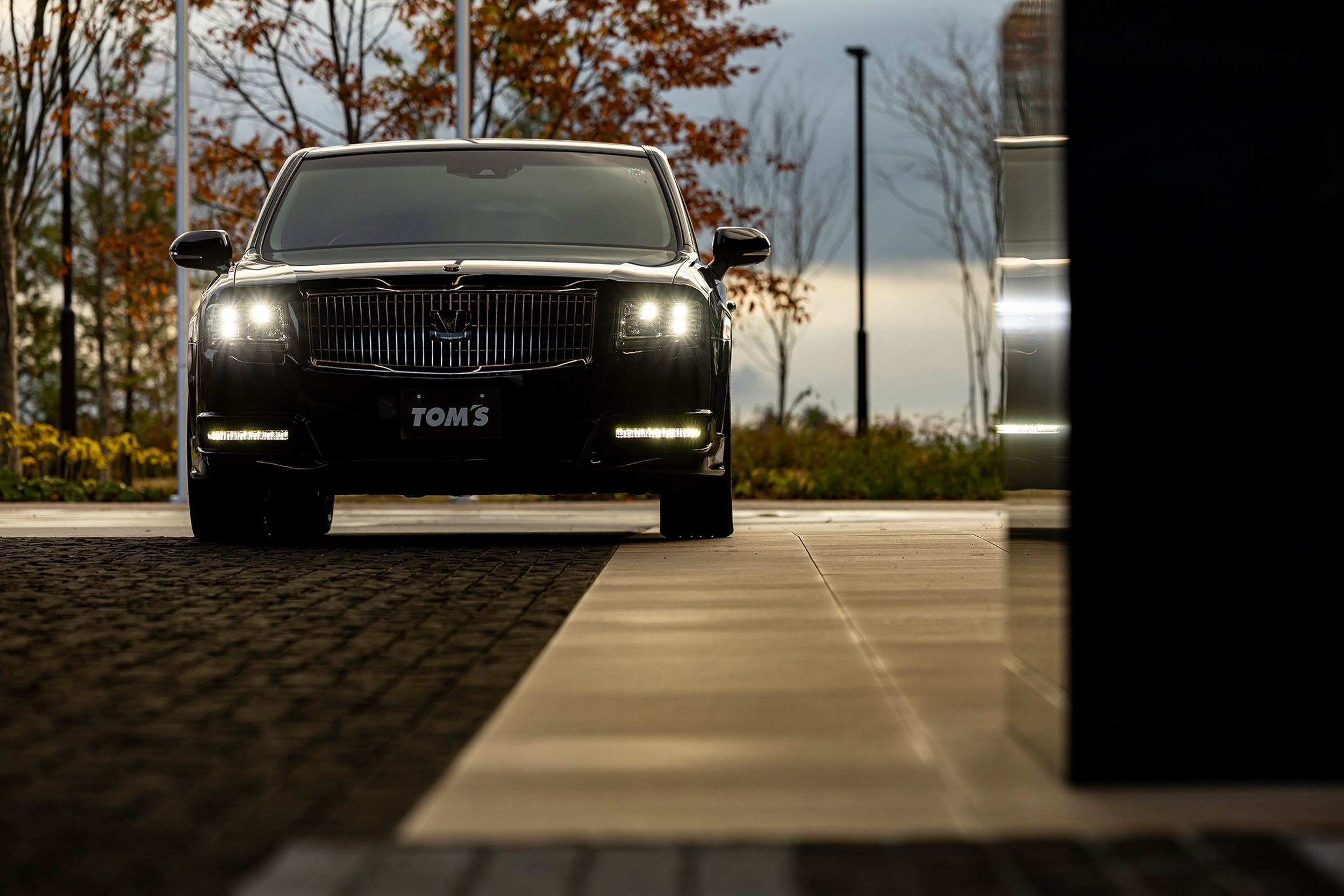 Tom's Racing Toyota Century - Japan (12)