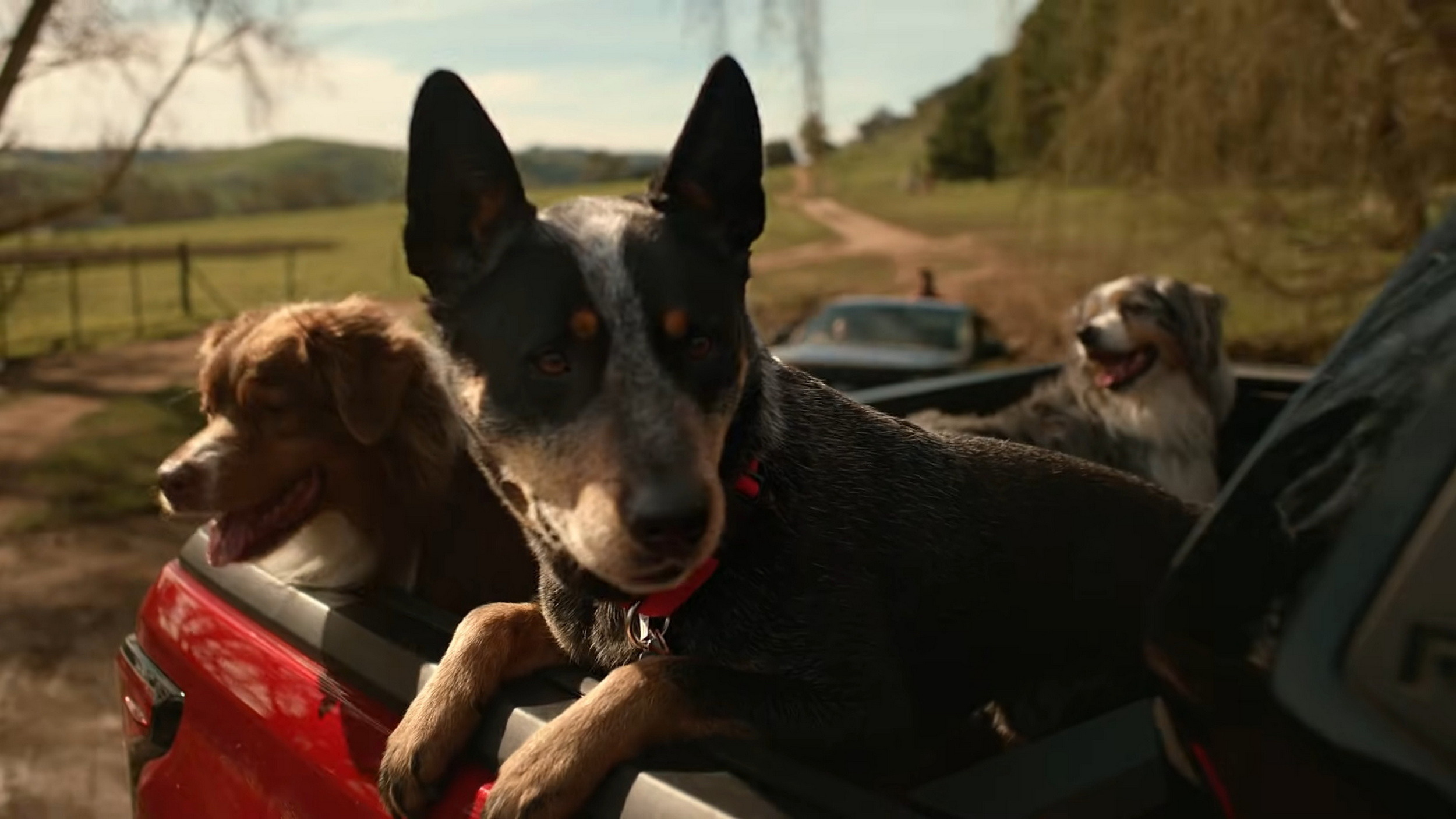Toyota Hilux - The Pied Piper Ad - Australia (2)