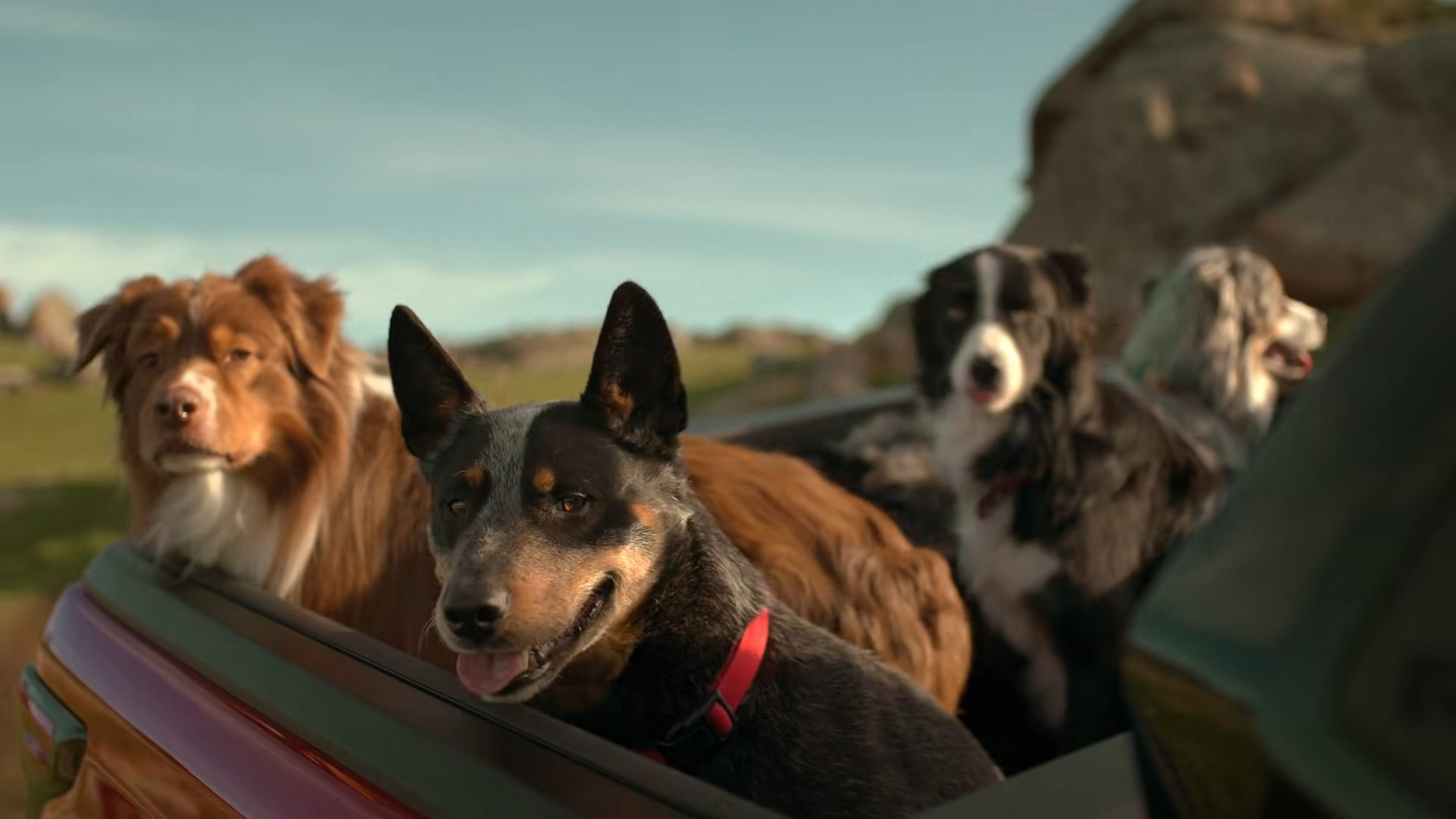Toyota Hilux - The Pied Piper Ad - Australia (4)