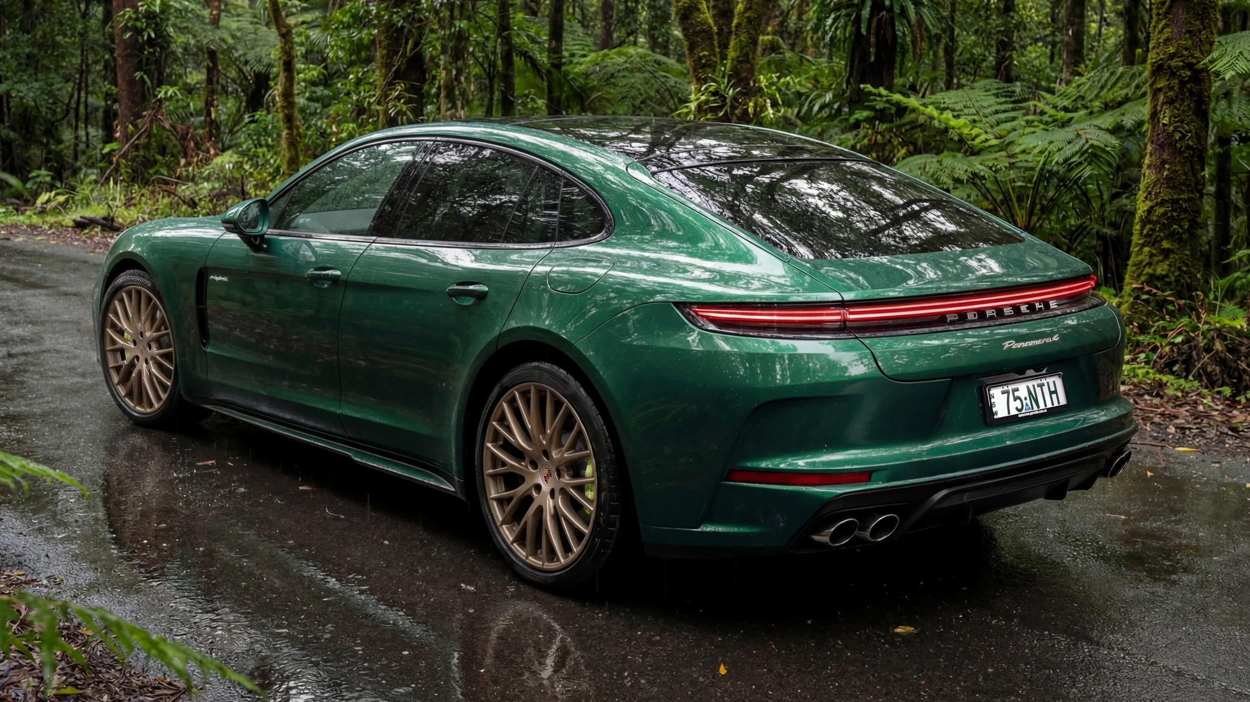 Porsche Panamera 4 E-Hybrid - Go North - Australia (2) copy