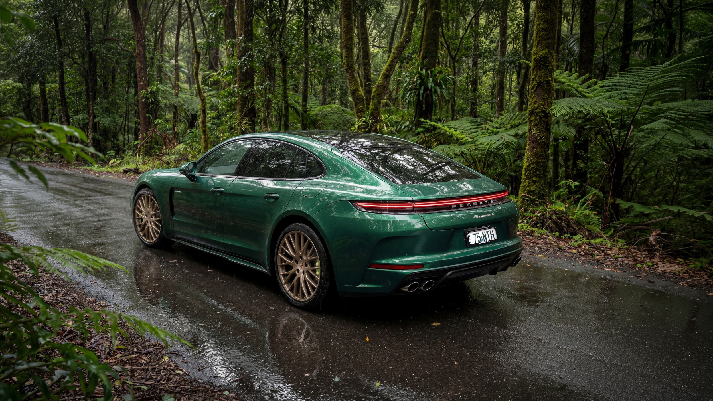 Porsche Panamera 4 E-Hybrid - Go North - Australia (2)