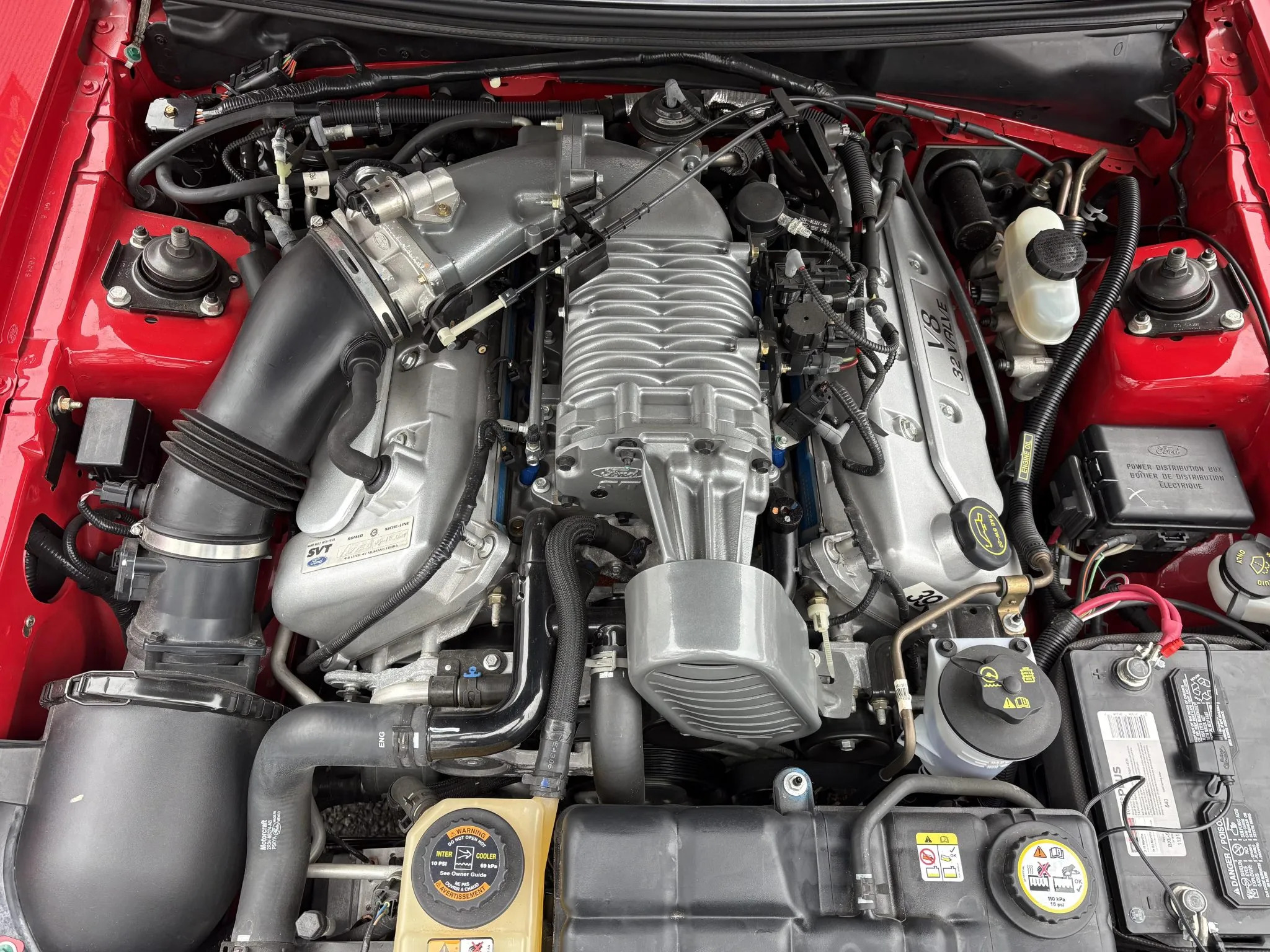 2003 Ford Mustang SVT Cobra Auction - 19