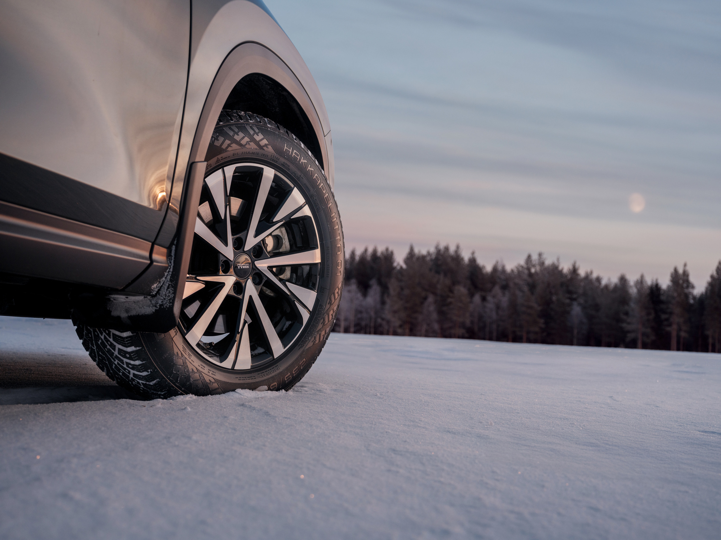 Nokian Hakkapeliitta 01 302 9